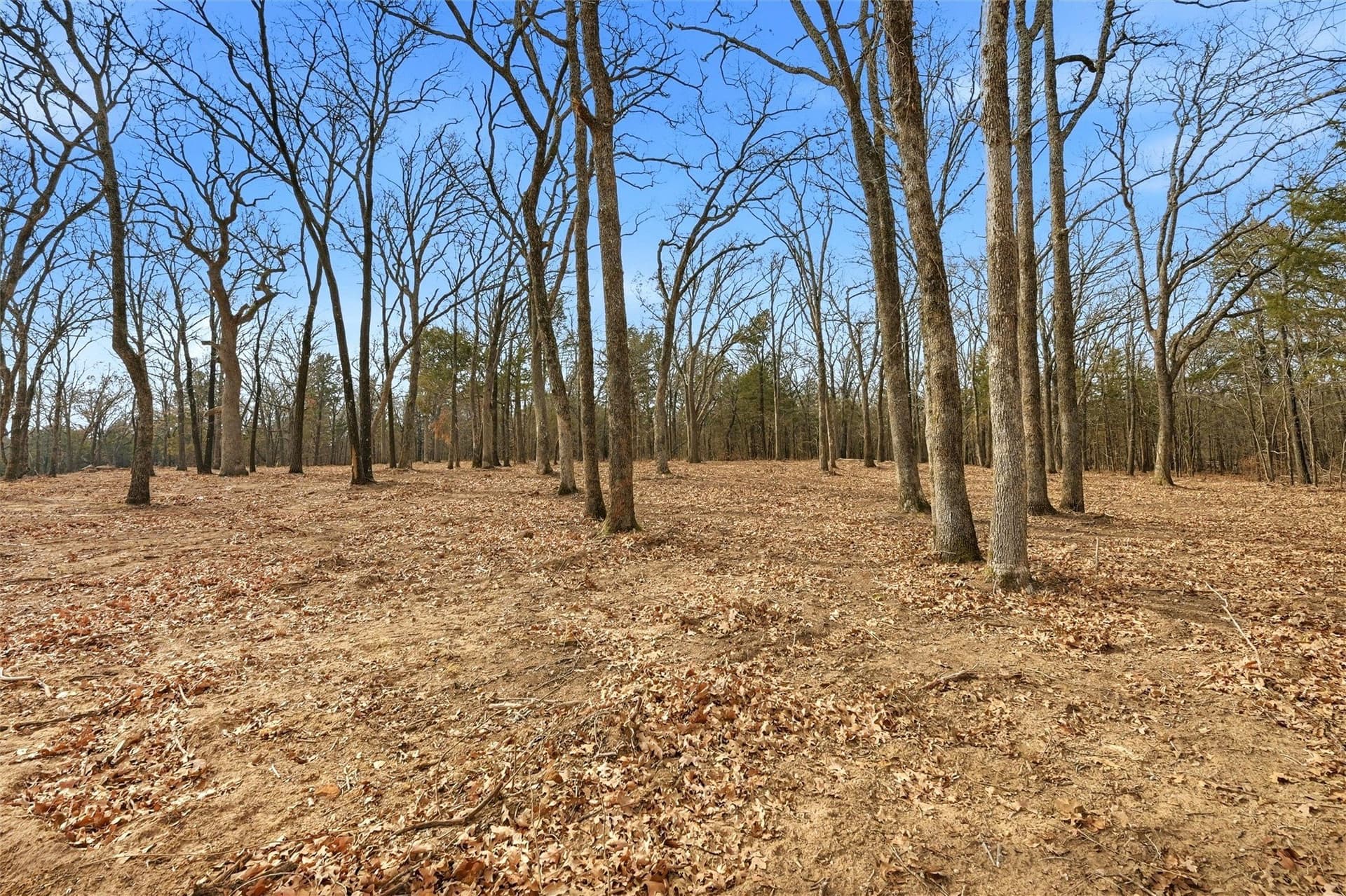 1 acres in Grayson County - photo 16