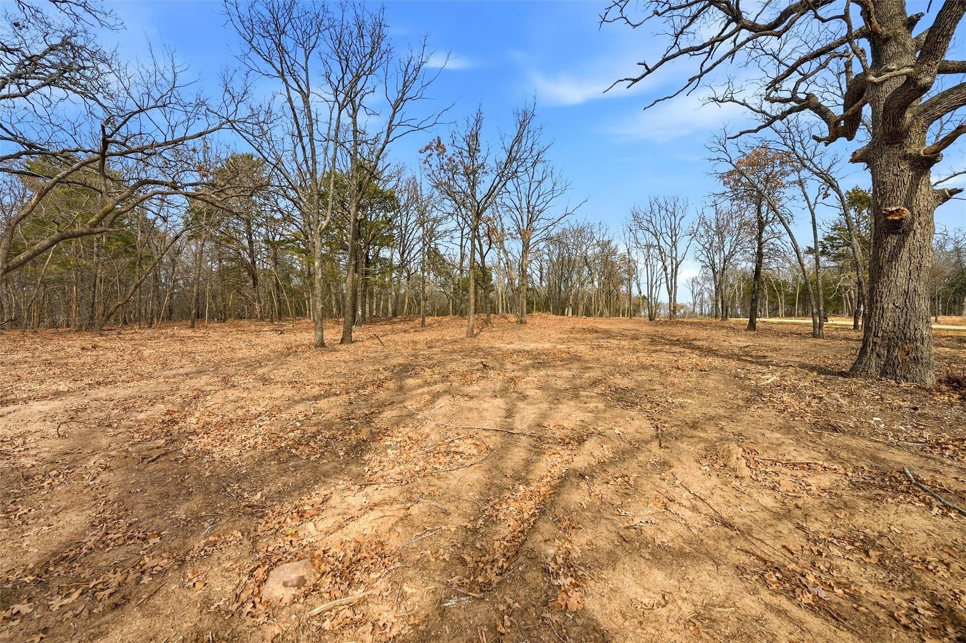 1 acres in Grayson County - photo 7