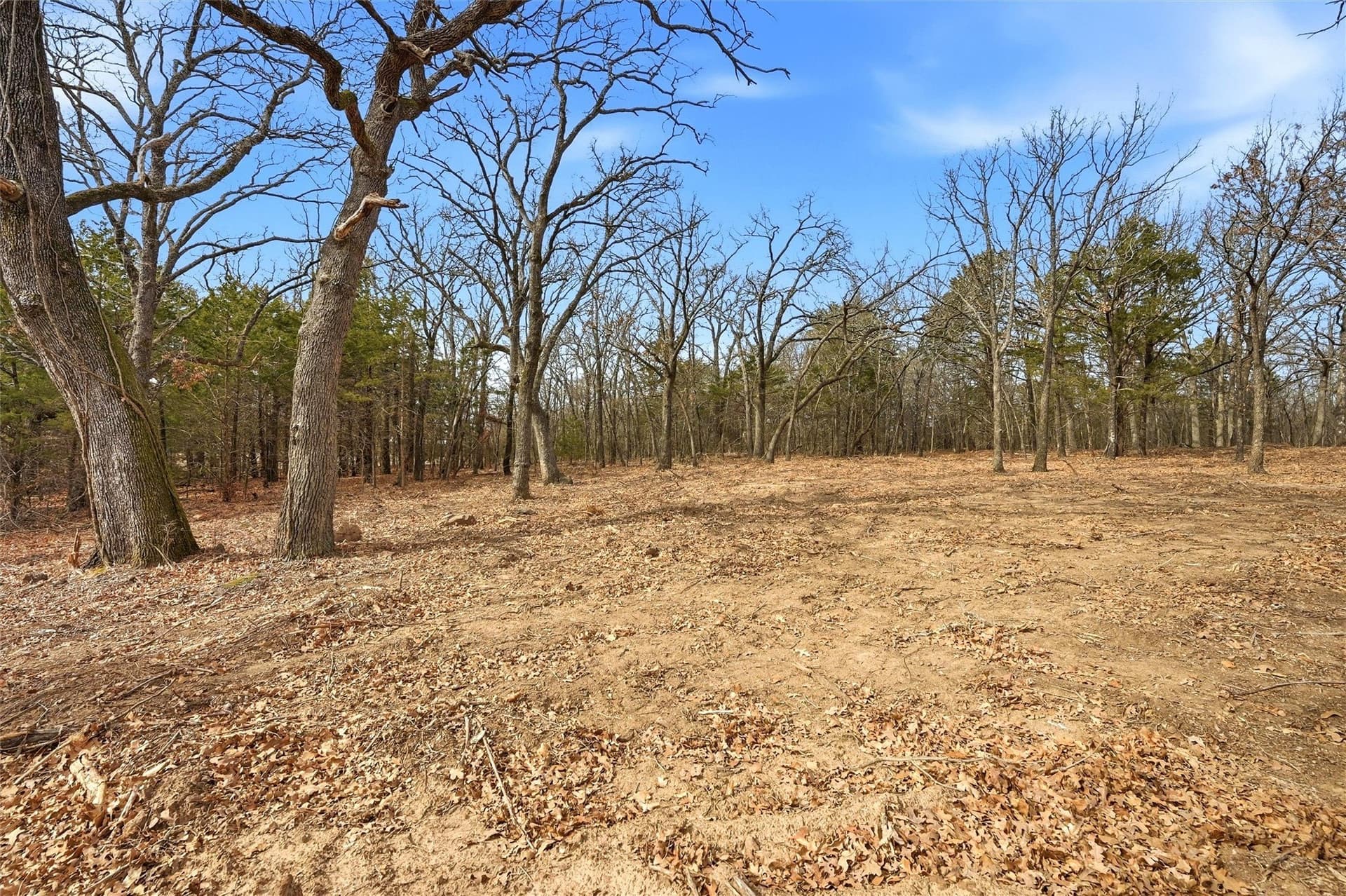1 acres in Grayson County - photo 6
