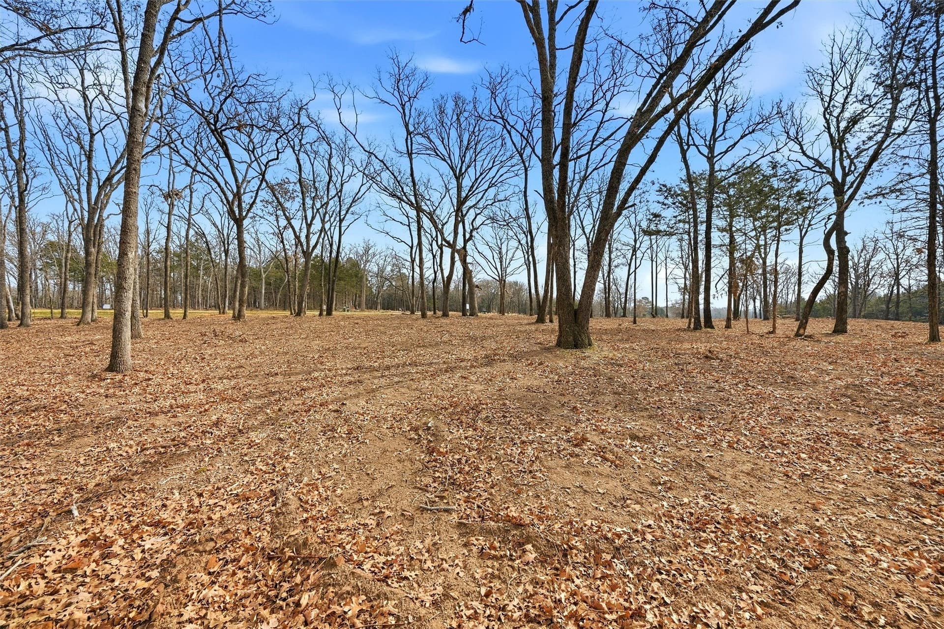 1 acres in Grayson County - photo 15