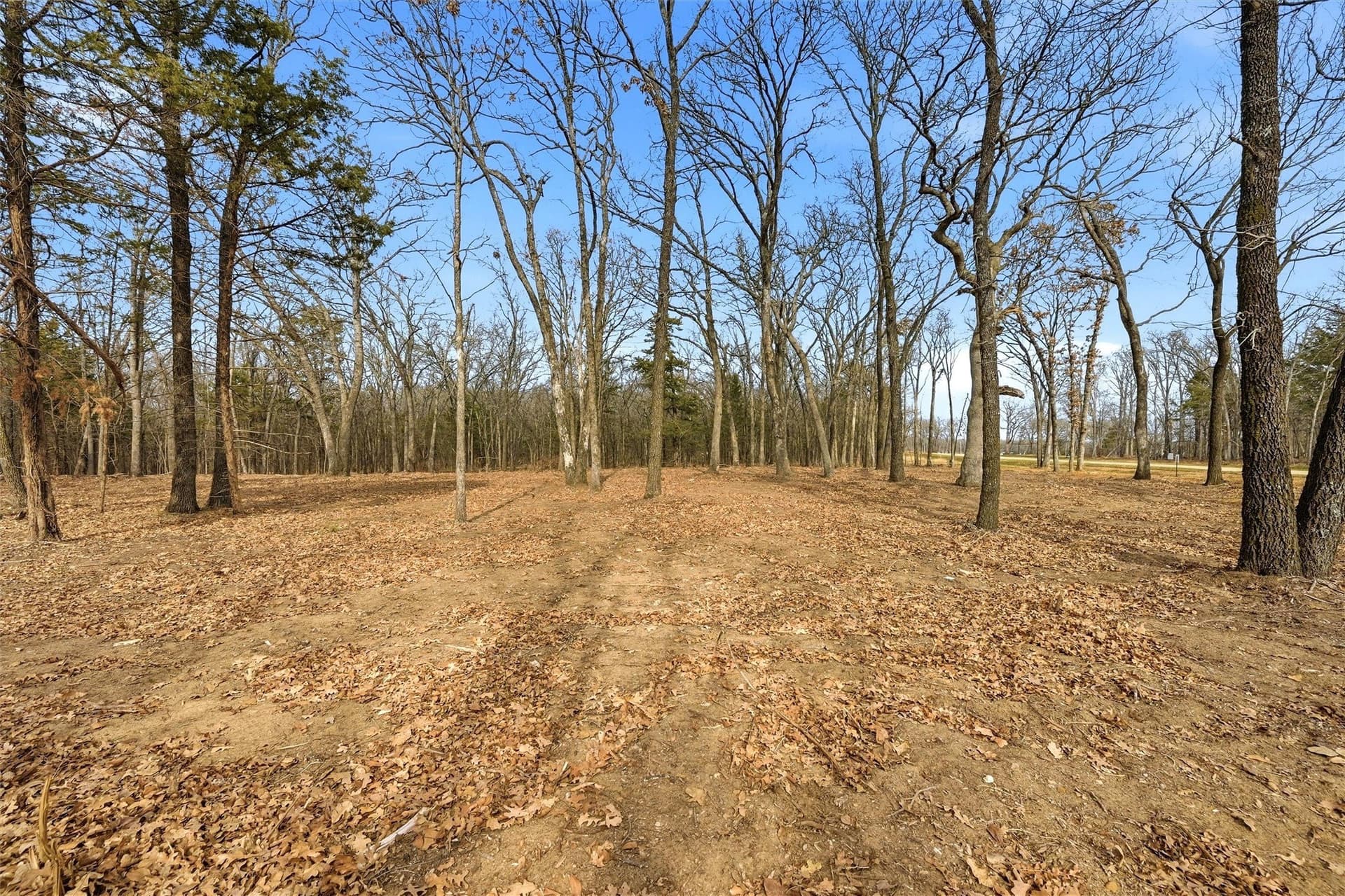 1 acres in Grayson County - photo 12