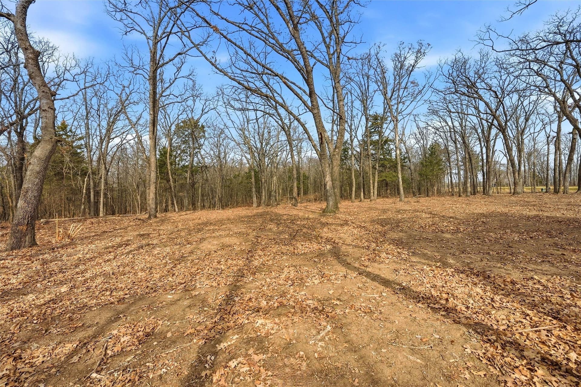 1 acres in Grayson County - photo 13