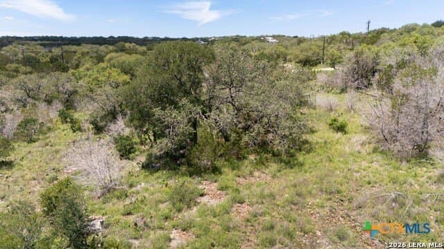 3.36 acres in Comal County - photo 36