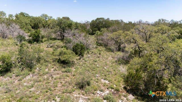 3.36 acres in Comal County - photo 25