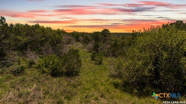3.36 acres in Comal County gallery image 4