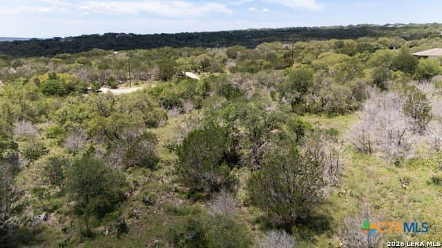 3.36 acres in Comal County - photo 31