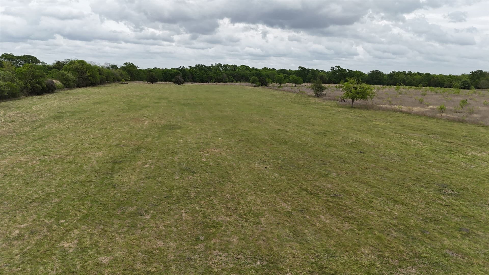 13 acres in Navarro County - photo 23