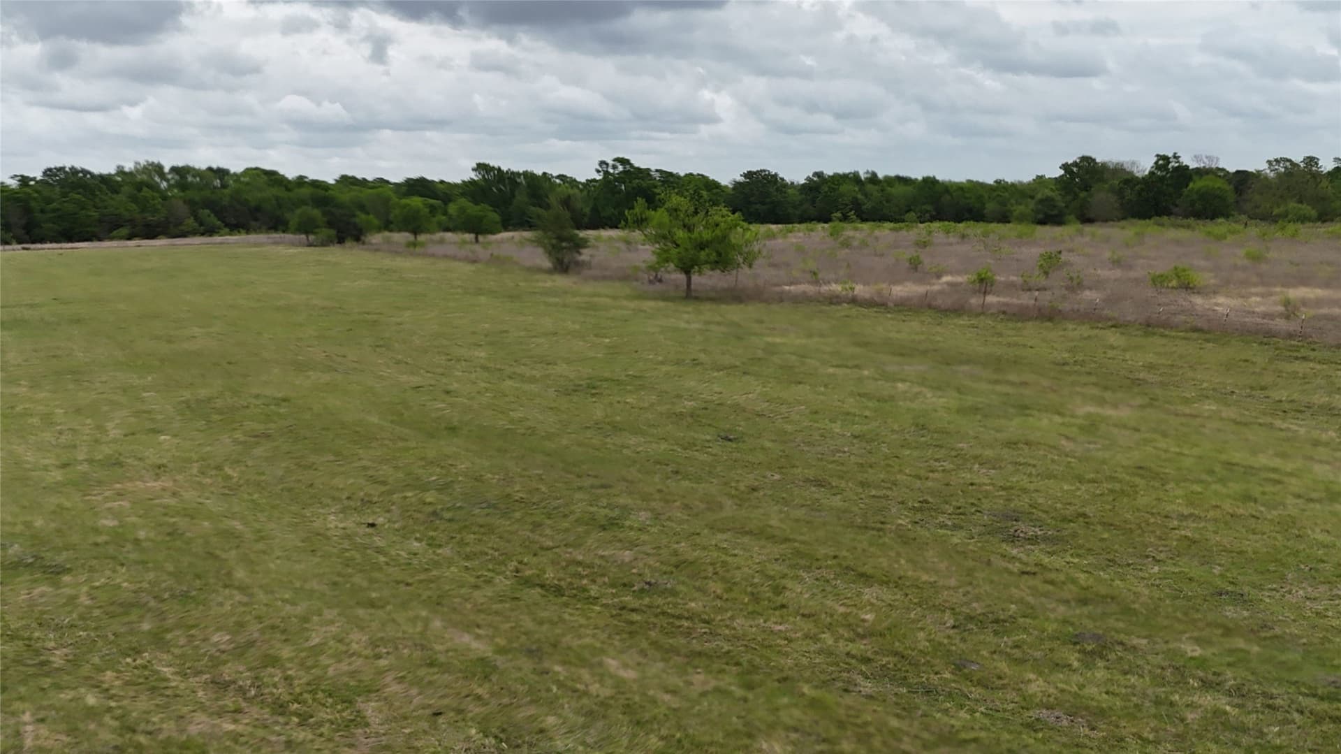 13 acres in Navarro County - photo 22