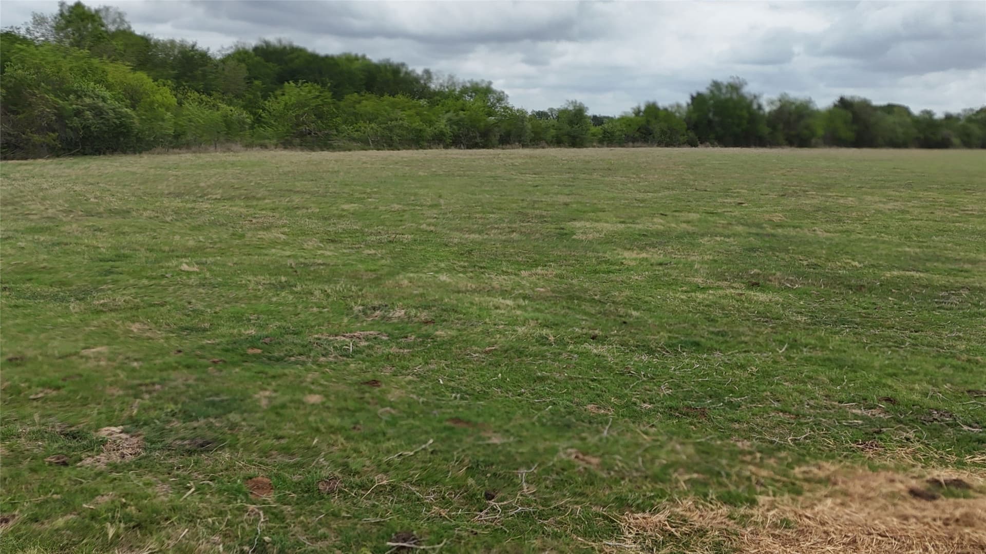 13 acres in Navarro County - photo 14