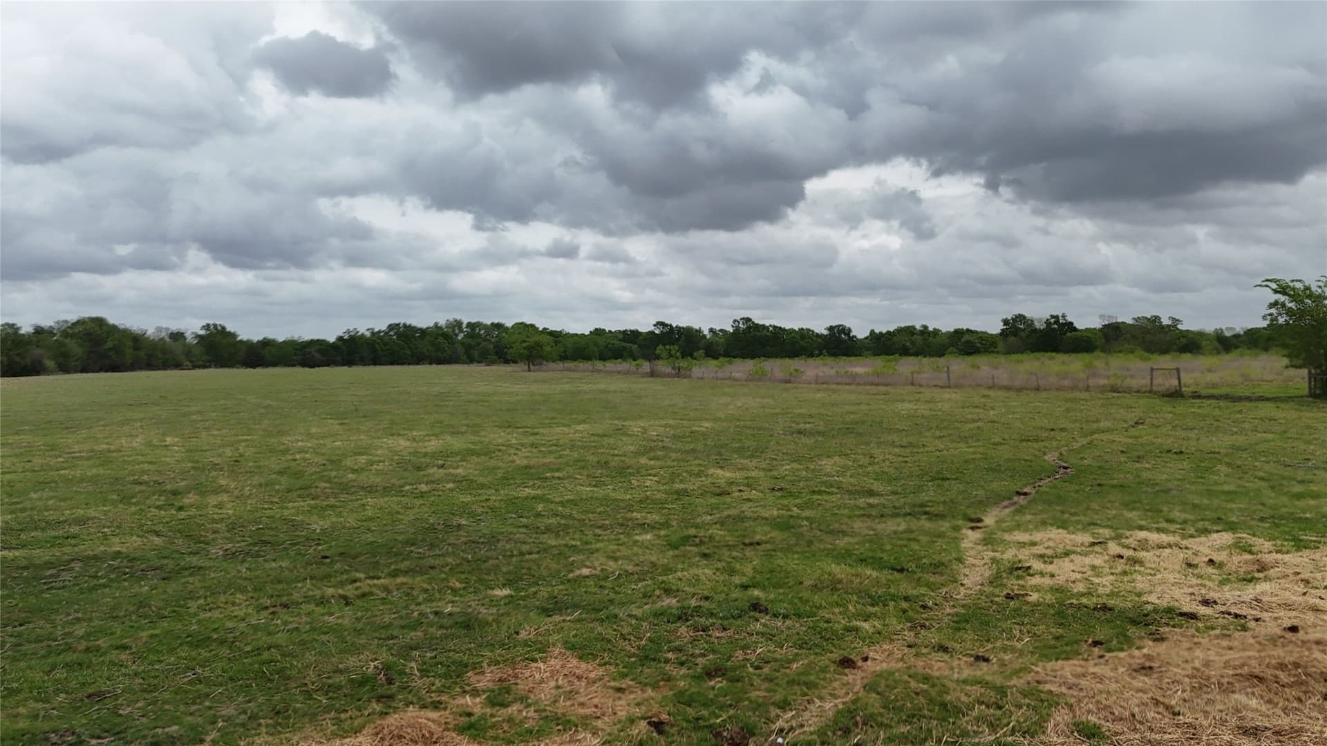 13 acres in Navarro County - photo 35