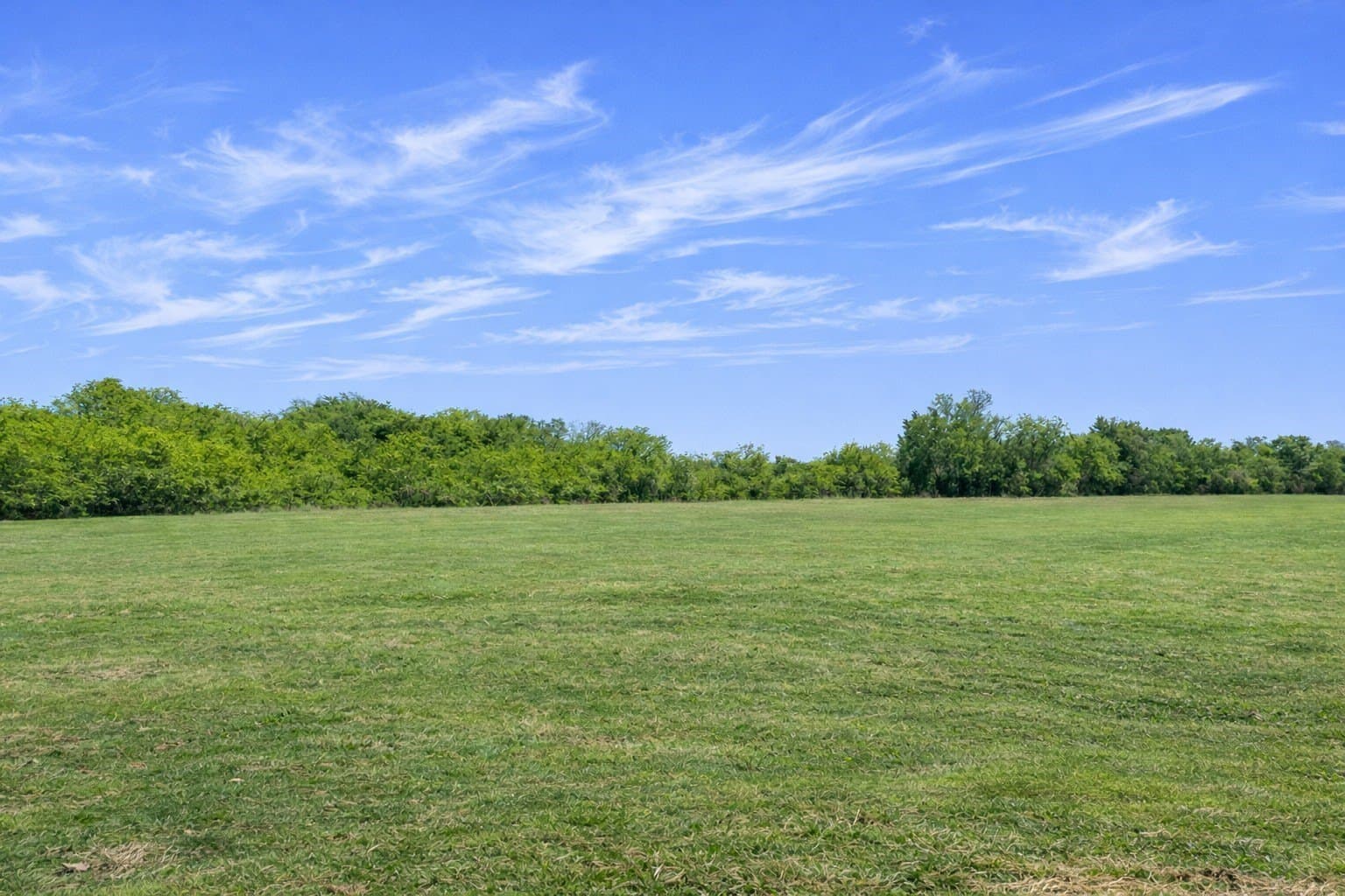 13 acres in Navarro County gallery image 3