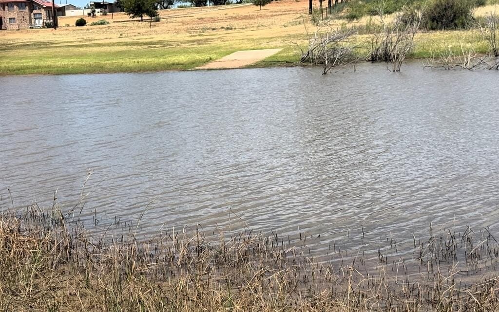 0.47 acres in Mitchell County - photo 6