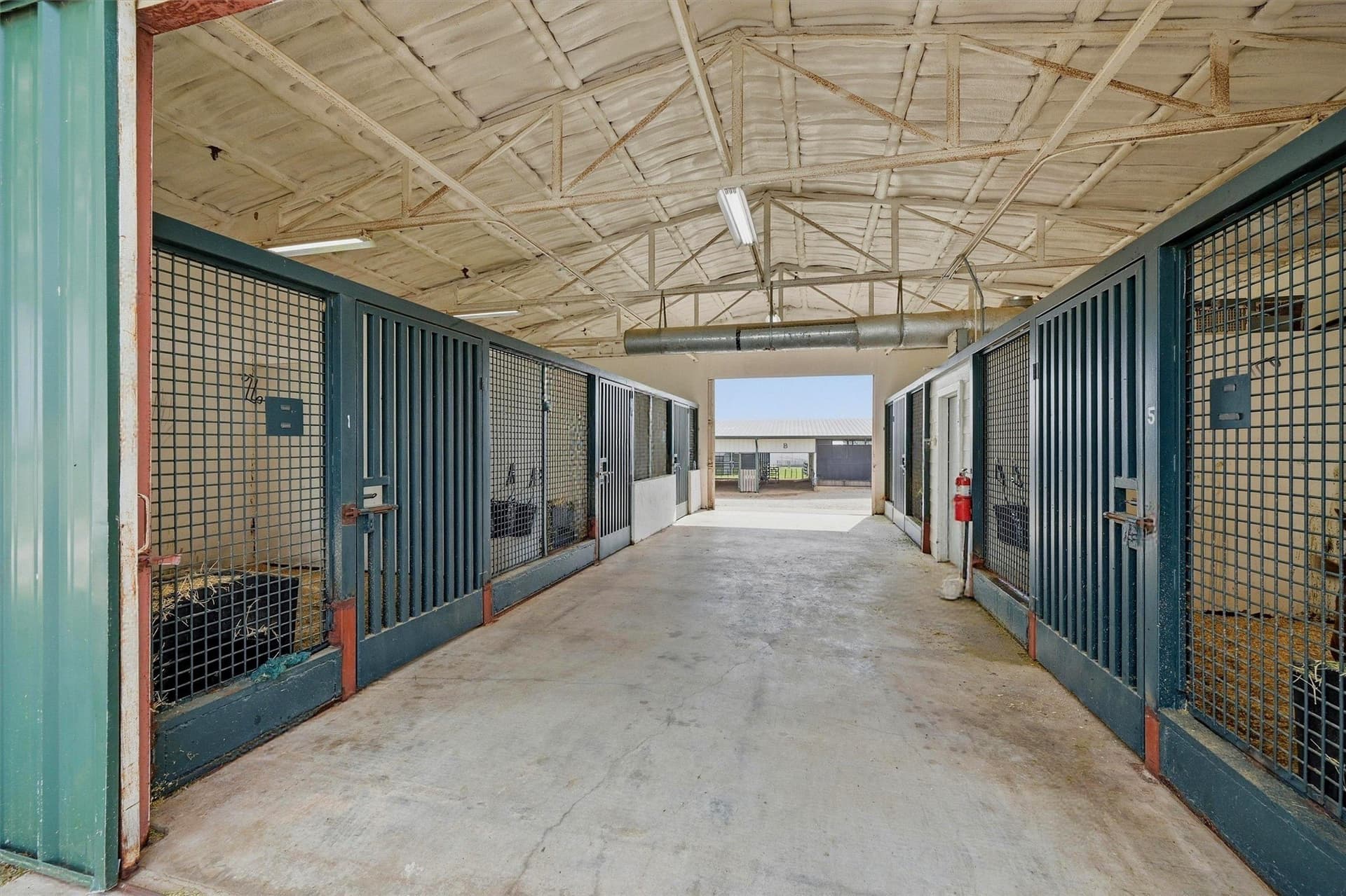 29.73 acres in Grayson County - photo 16