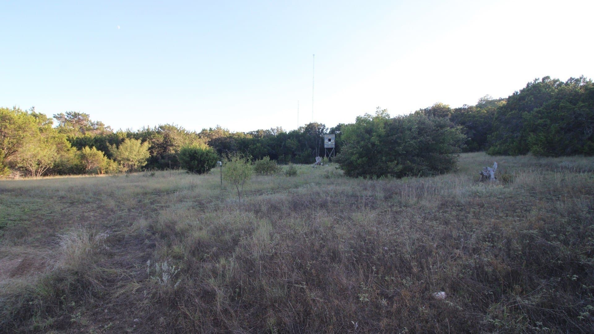 207 acres in Taylor County - photo 16