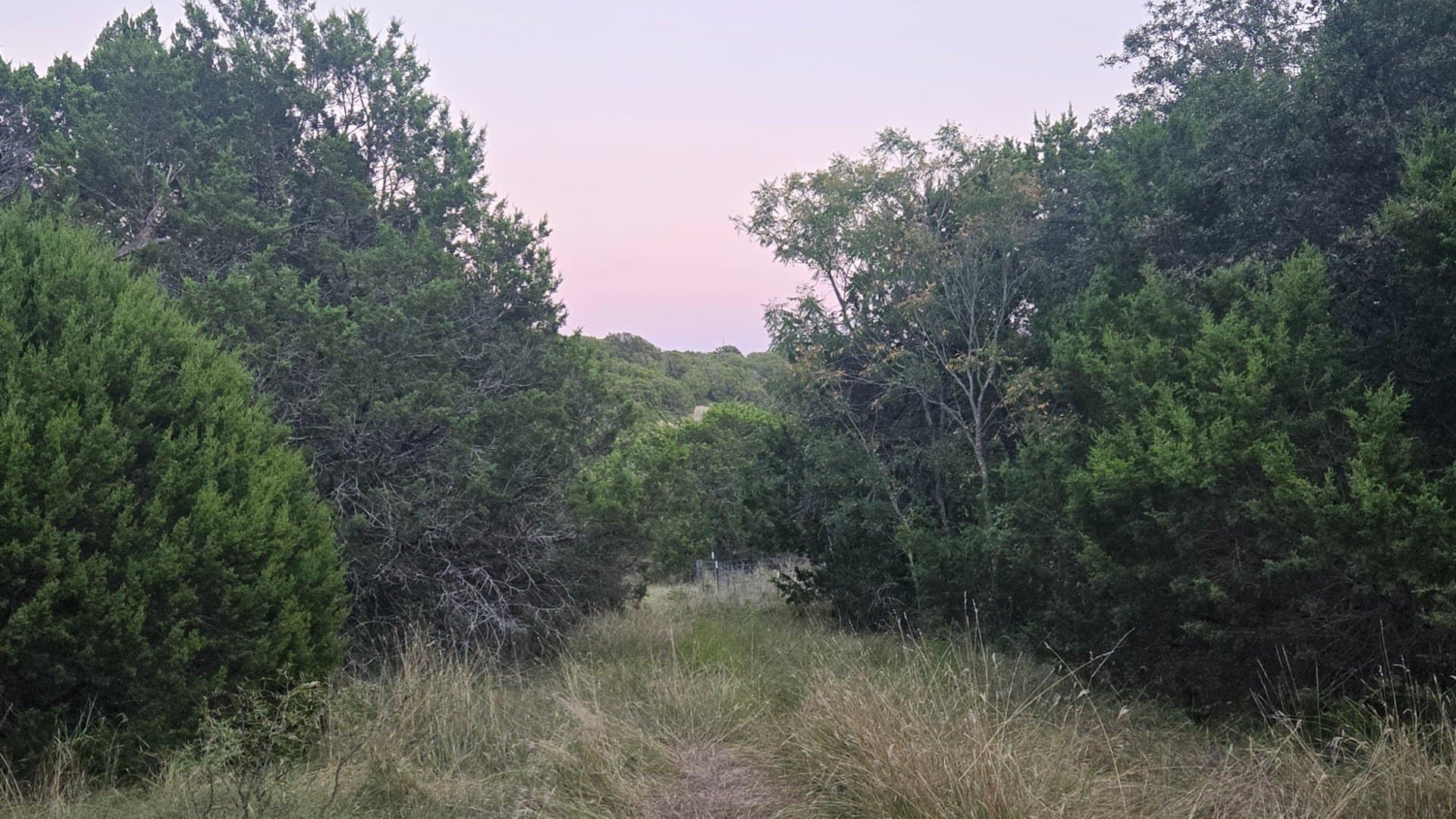207 acres in Taylor County - photo 39