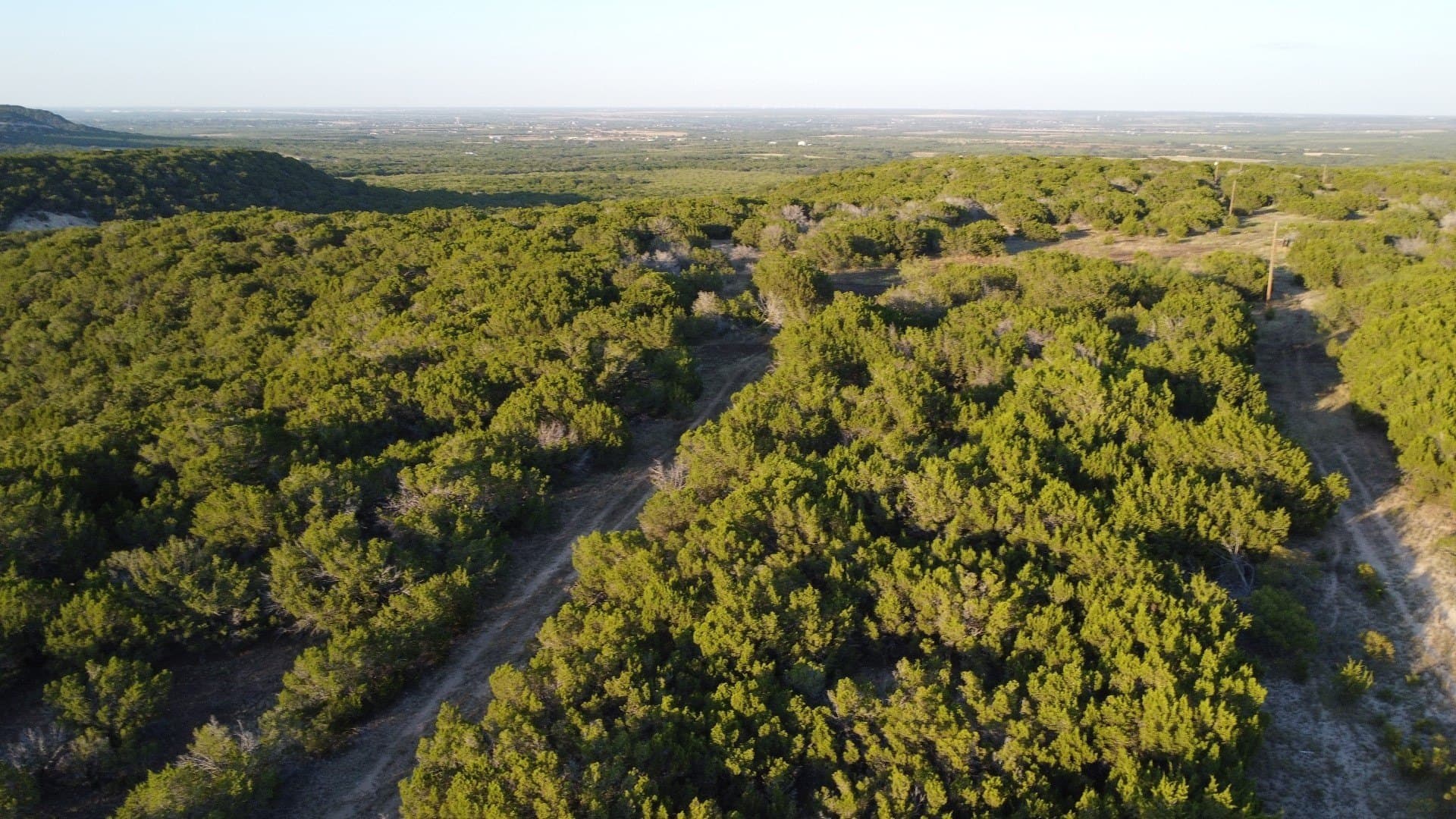 207 acres in Taylor County - photo 17