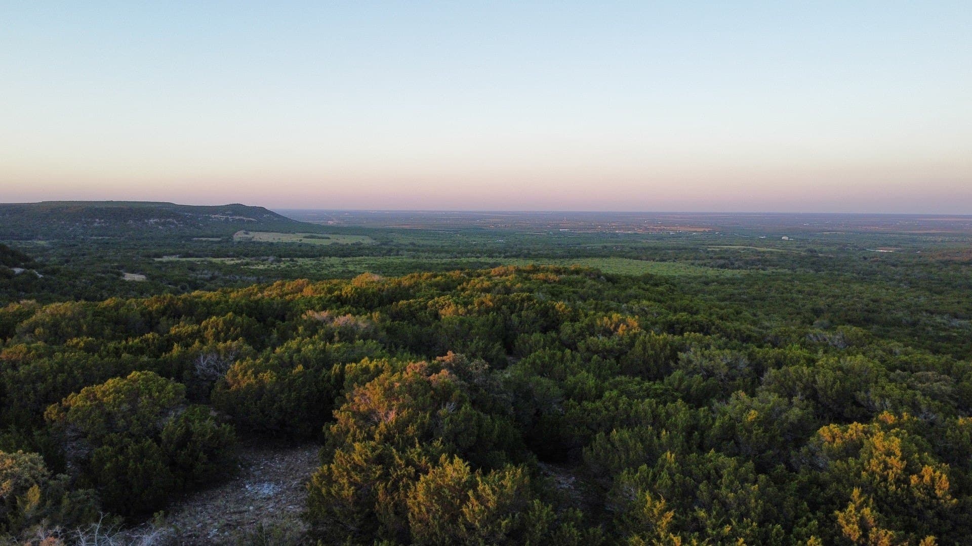 207 acres in Taylor County - photo 31