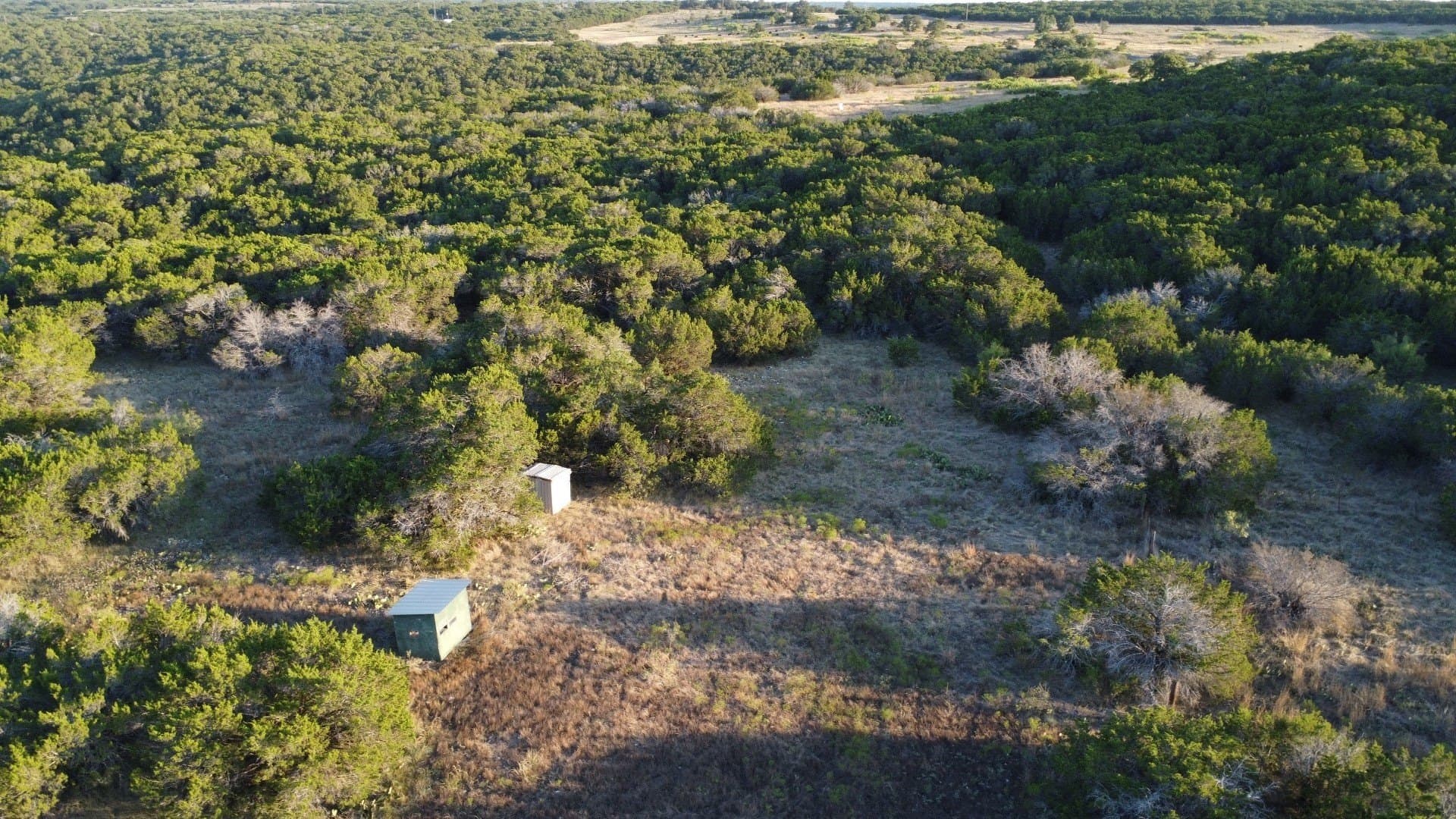 207 acres in Taylor County - photo 26