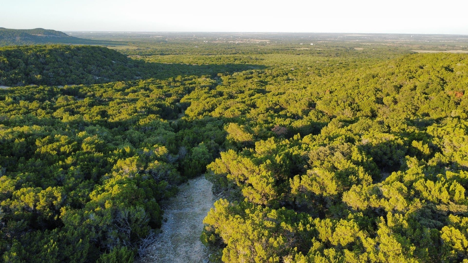 207 acres in Taylor County - photo 24