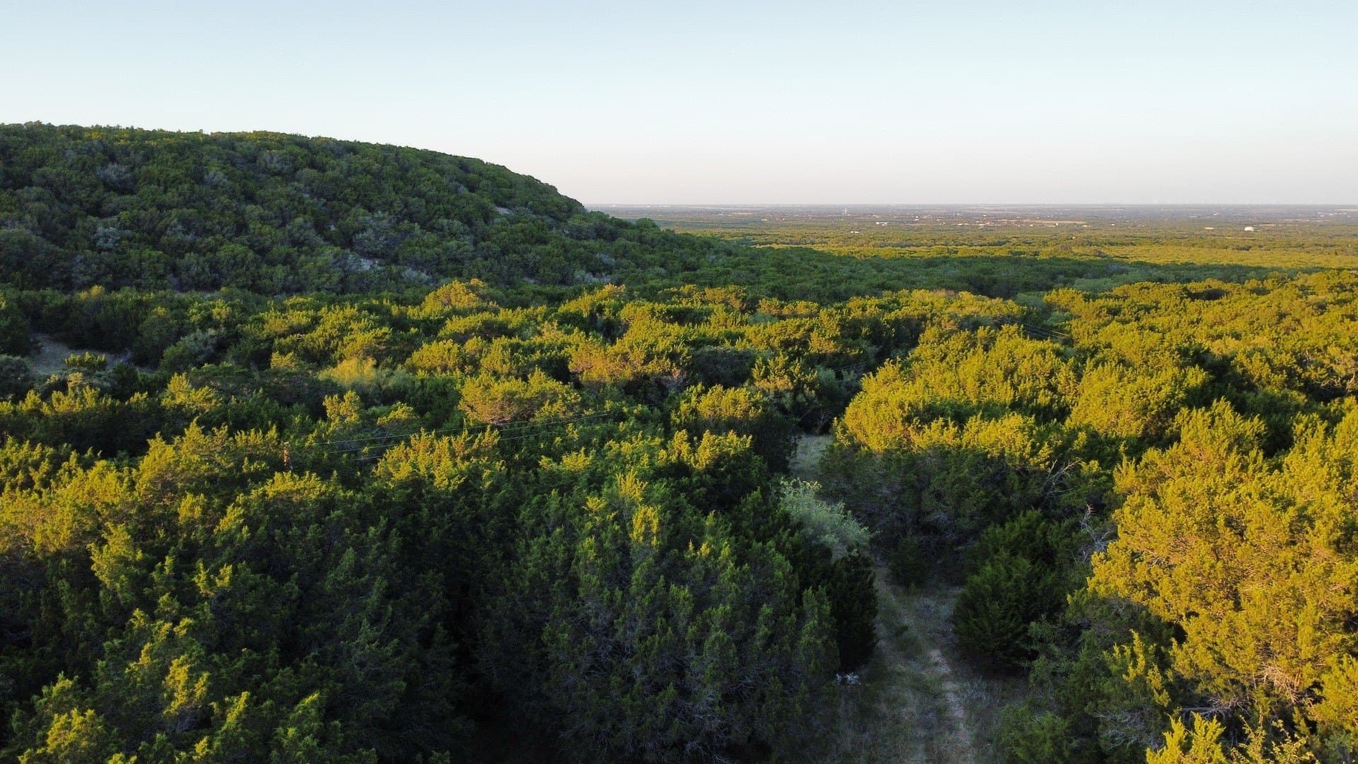 207 acres in Taylor County - photo 7