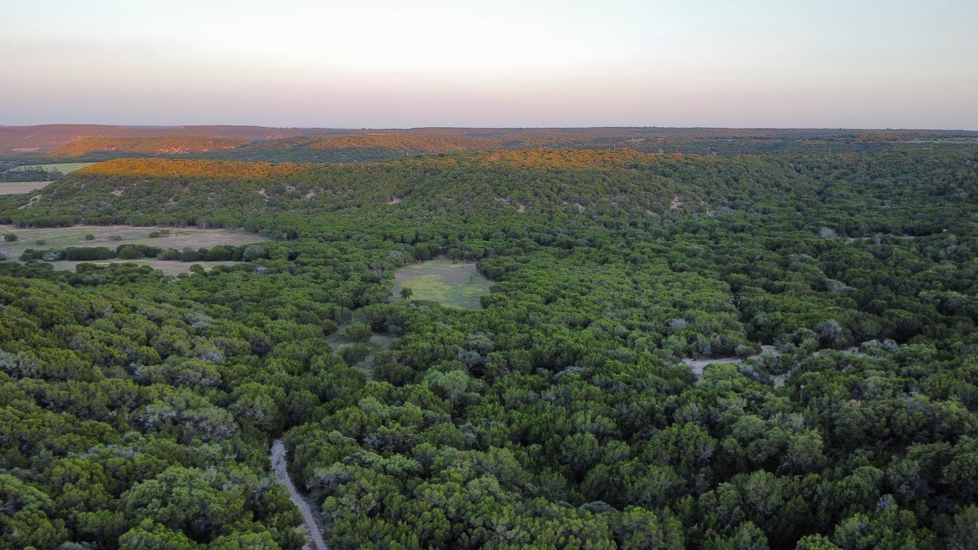 207 acres in Taylor County - photo 22