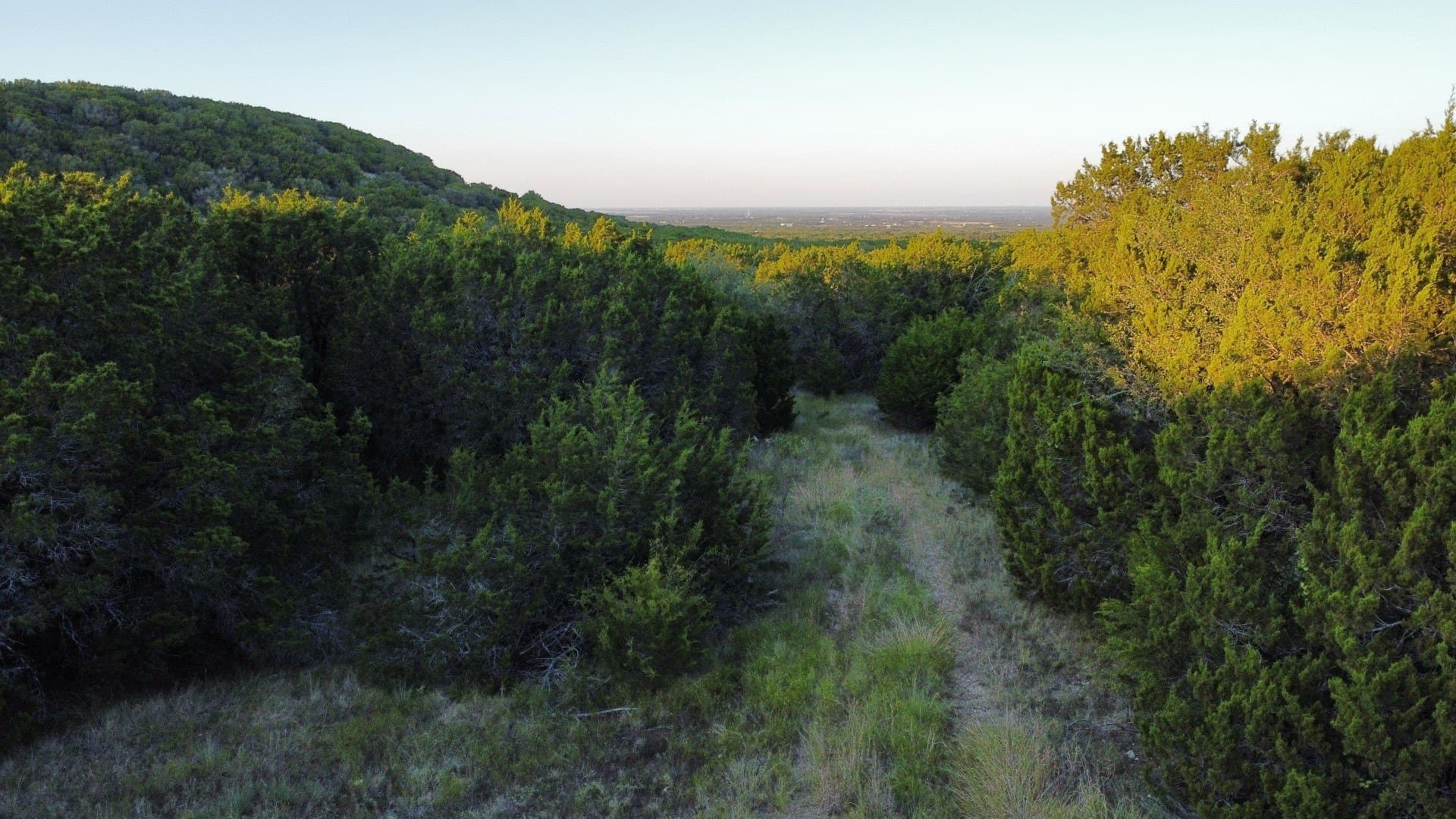 207 acres in Taylor County gallery image 2