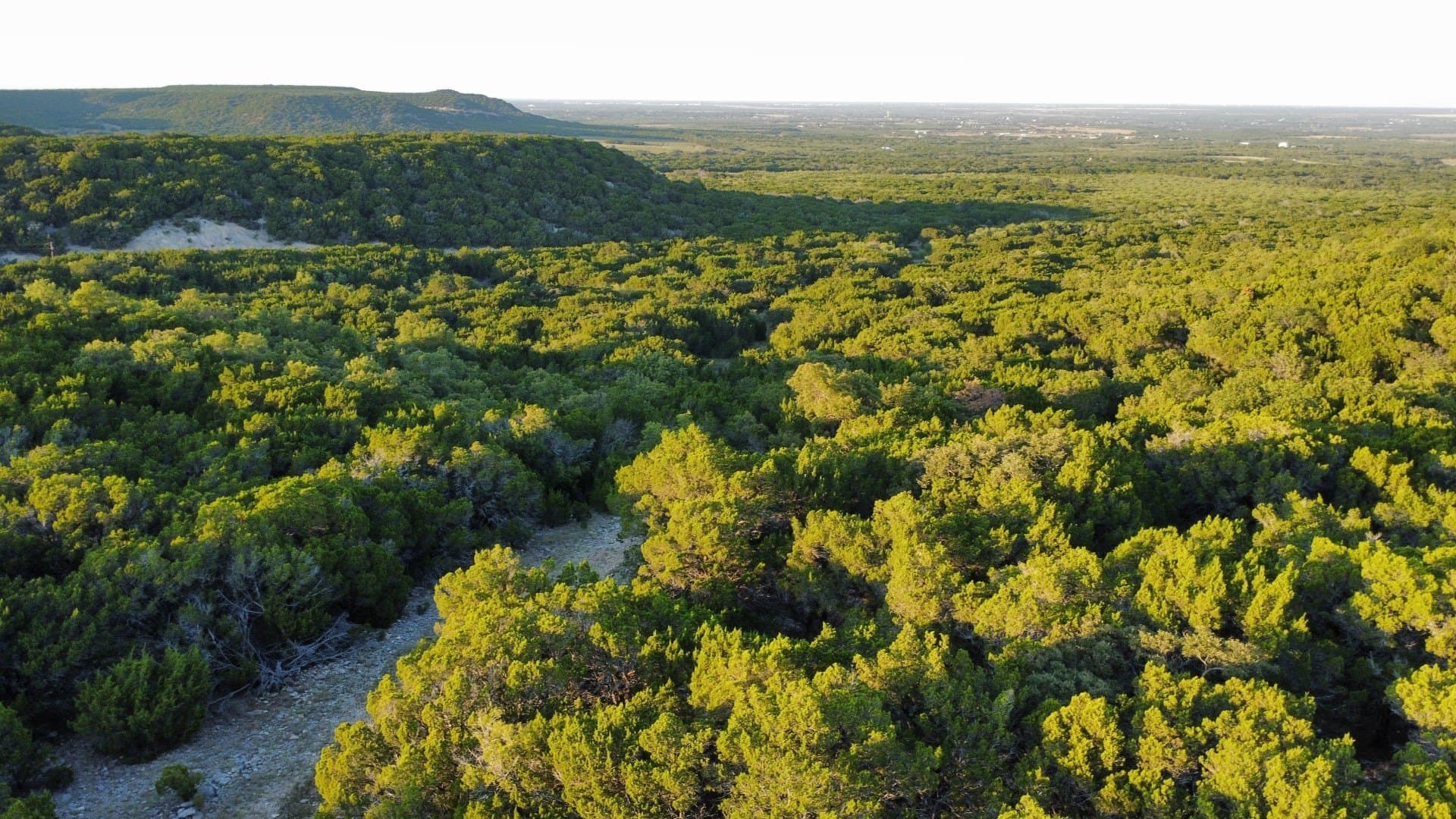 207 acres in Taylor County - photo 38