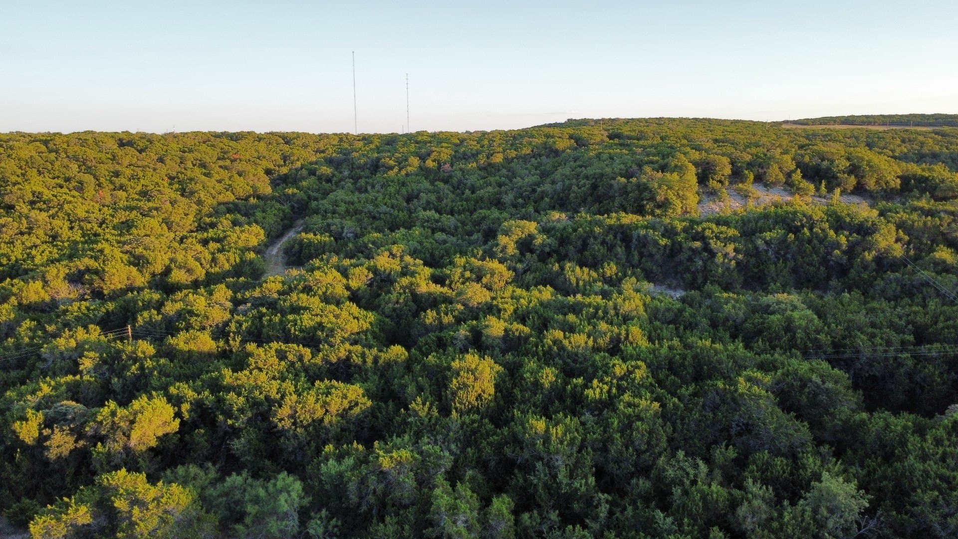 207 acres in Taylor County - photo 13