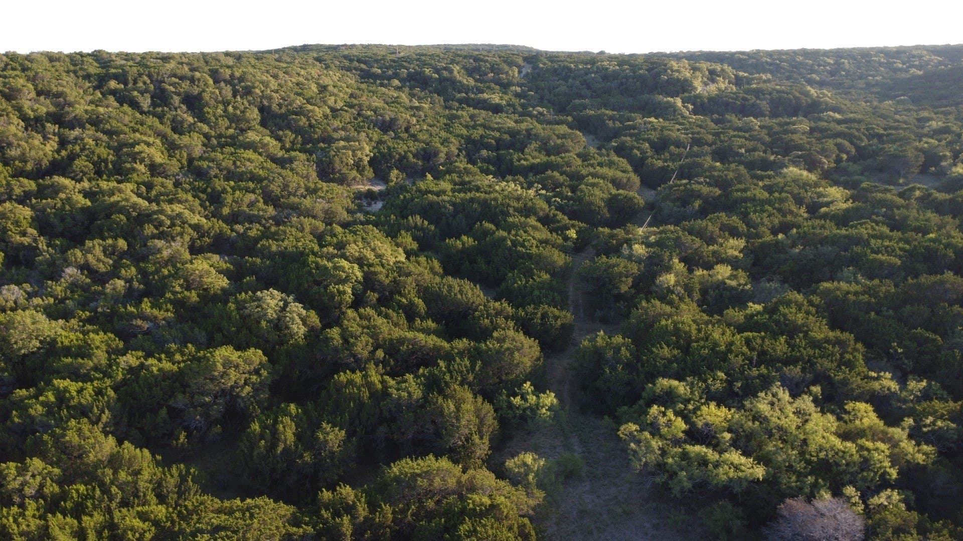 207 acres in Taylor County - photo 9