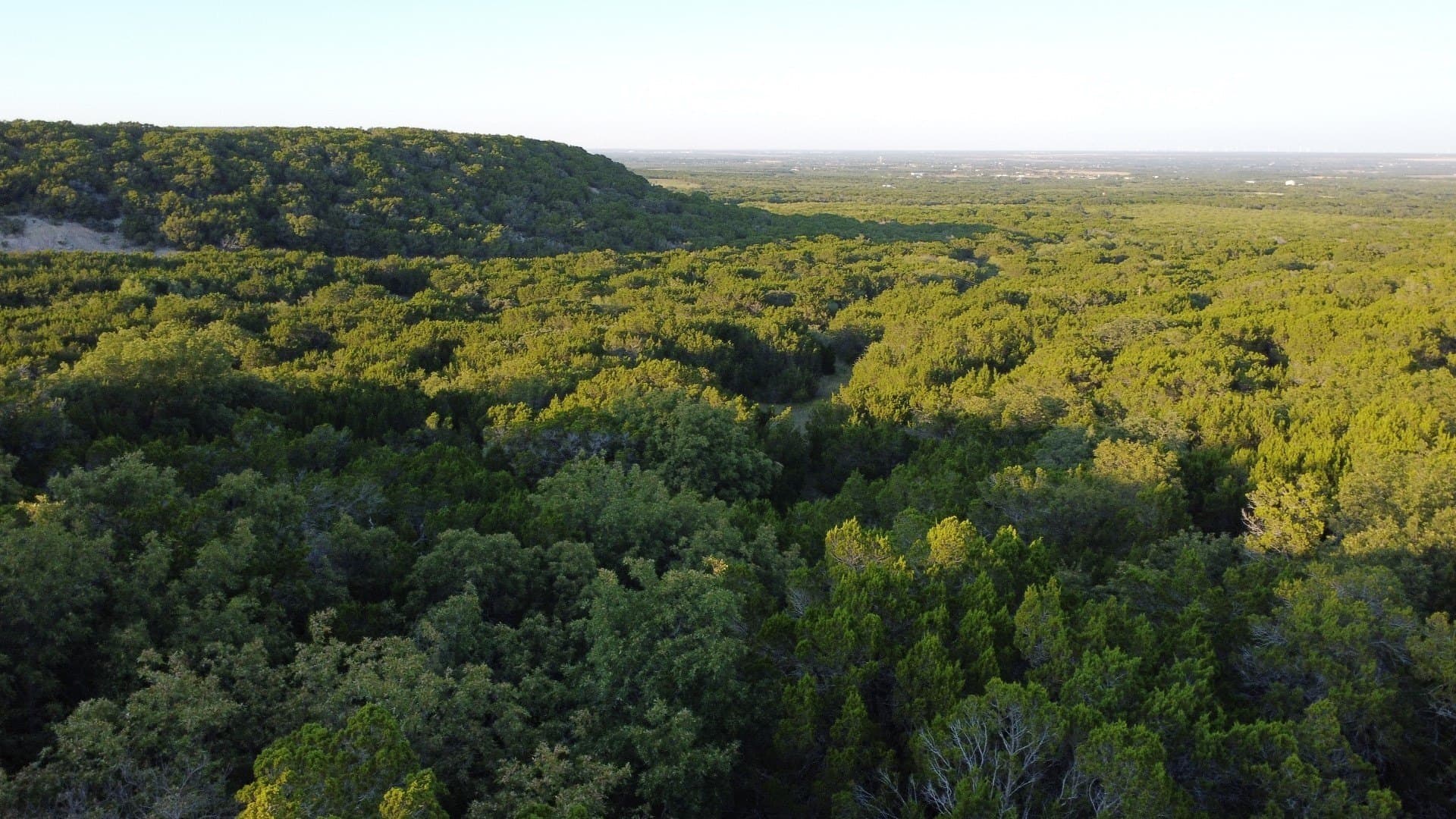 207 acres in Taylor County - photo 15