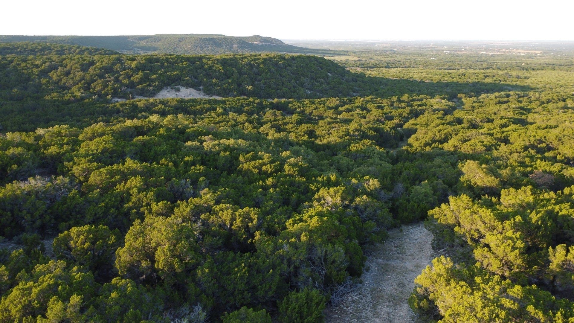 207 acres in Taylor County - photo 36