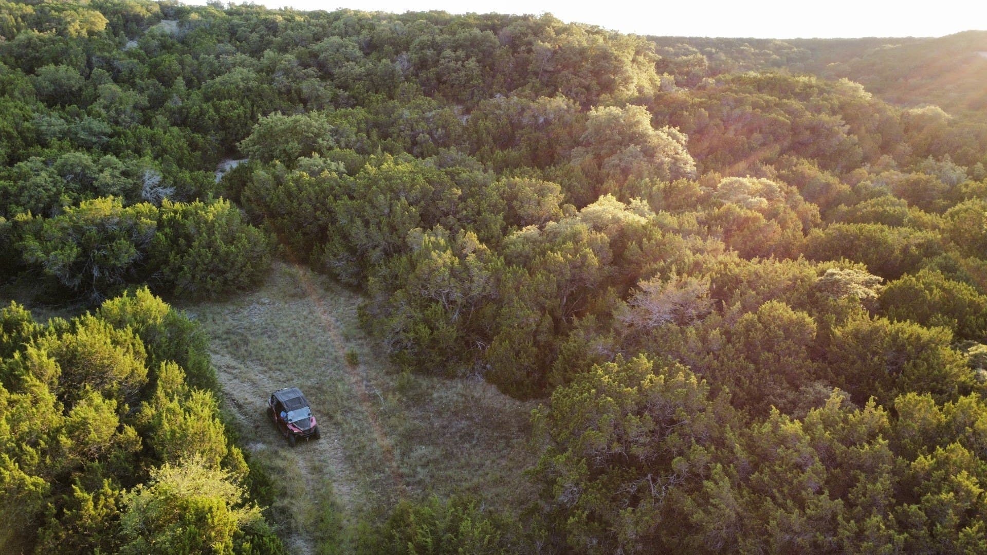 207 acres in Taylor County featured view