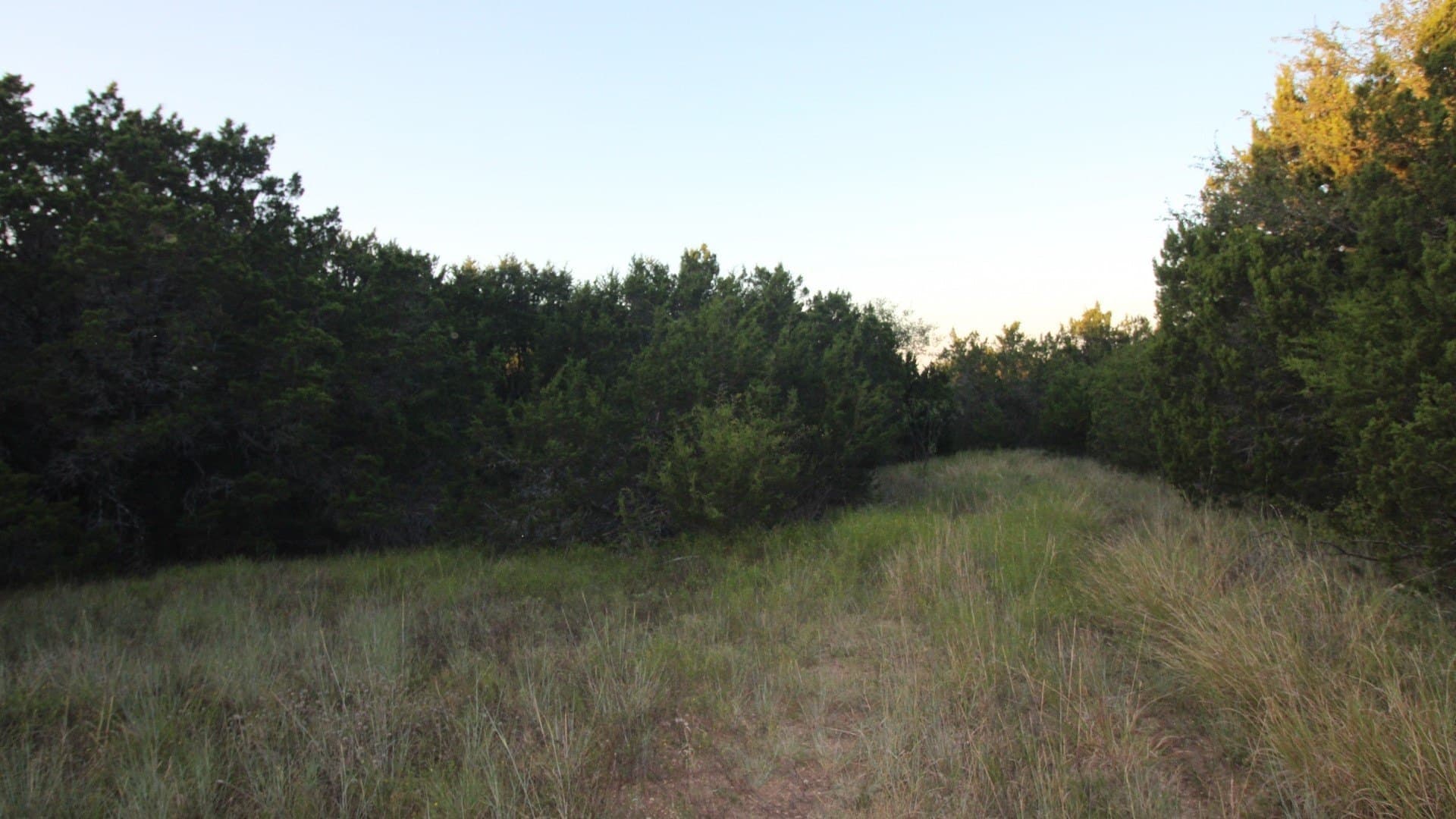 207 acres in Taylor County - photo 30
