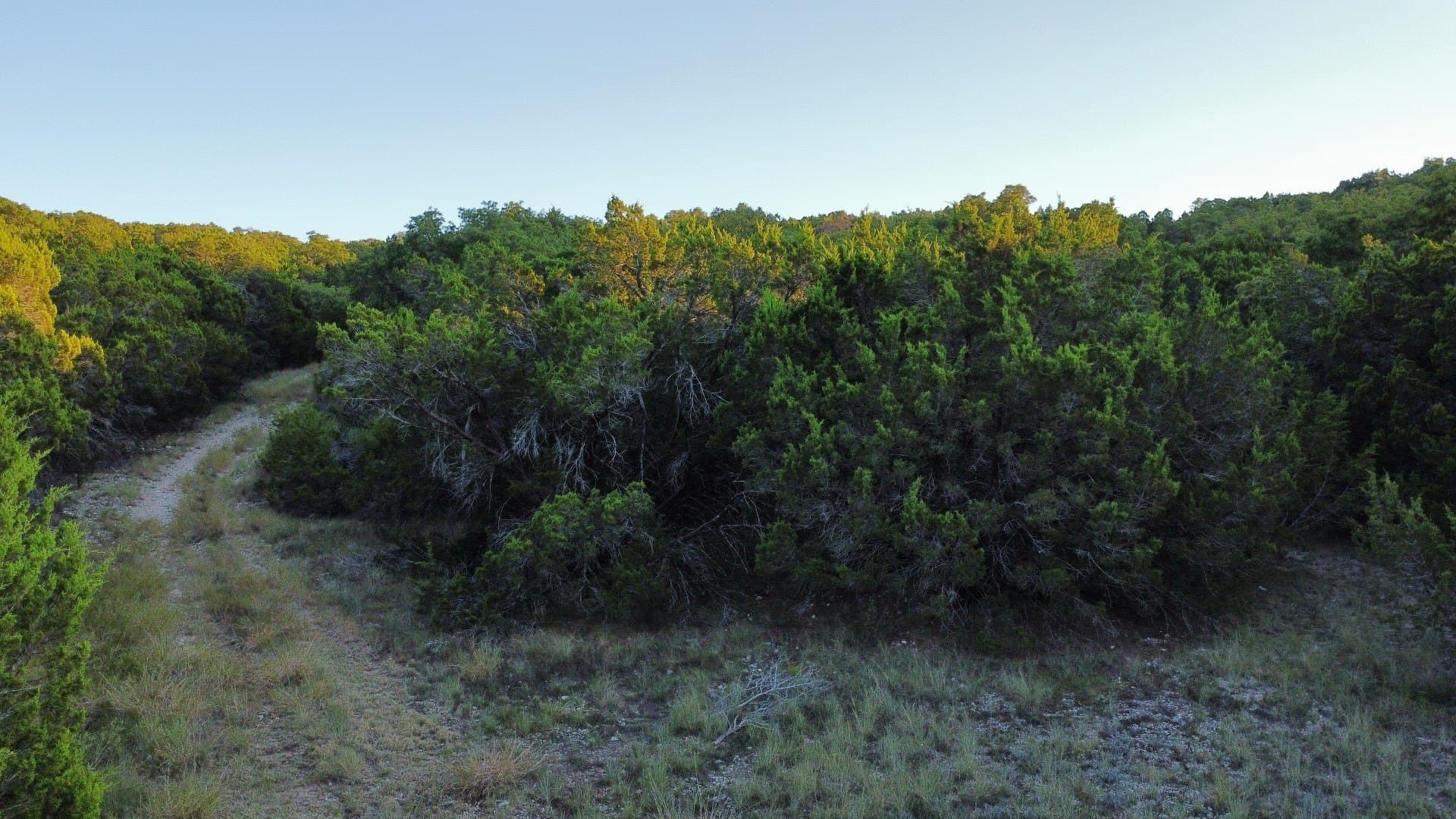 207 acres in Taylor County - photo 19