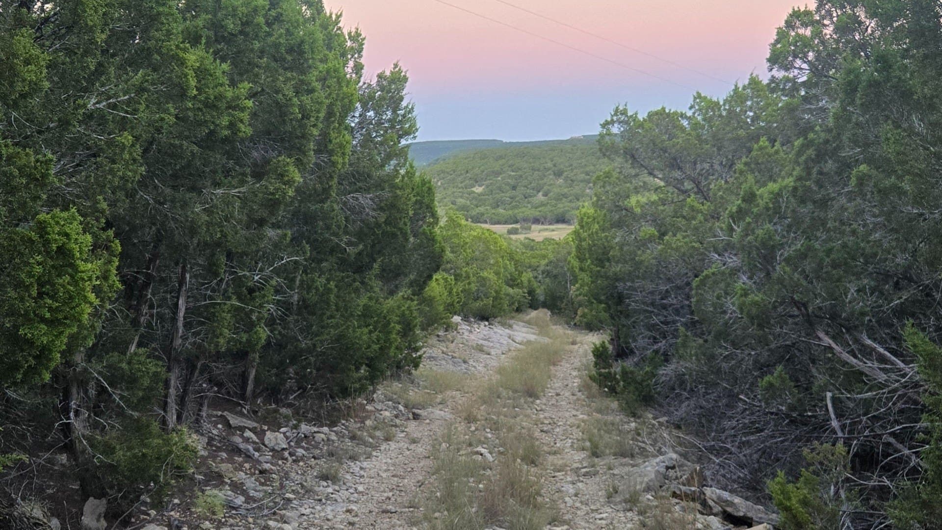 207 acres in Taylor County - photo 10