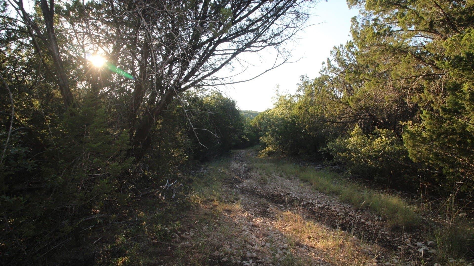 207 acres in Taylor County - photo 35