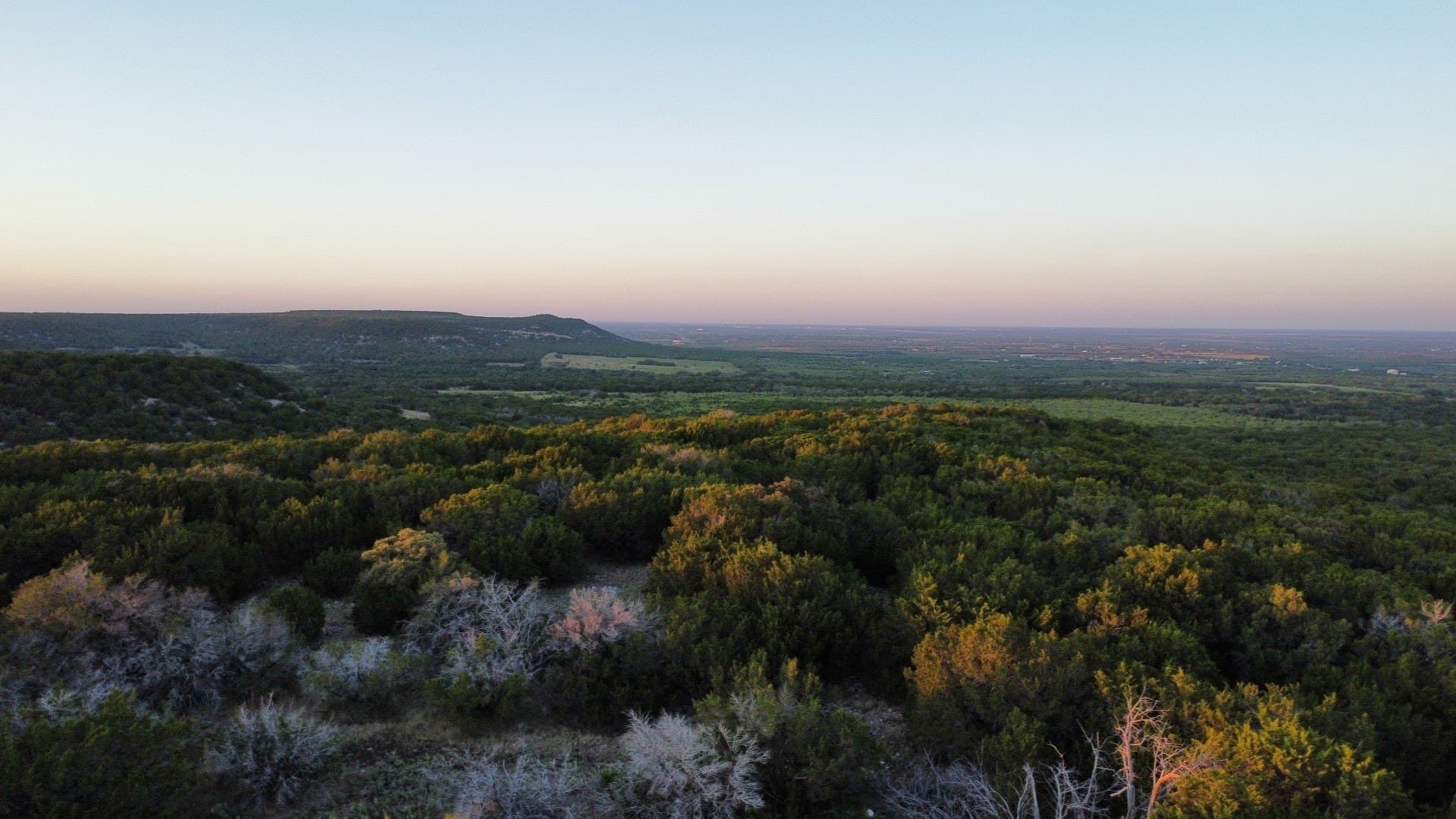 207 acres in Taylor County