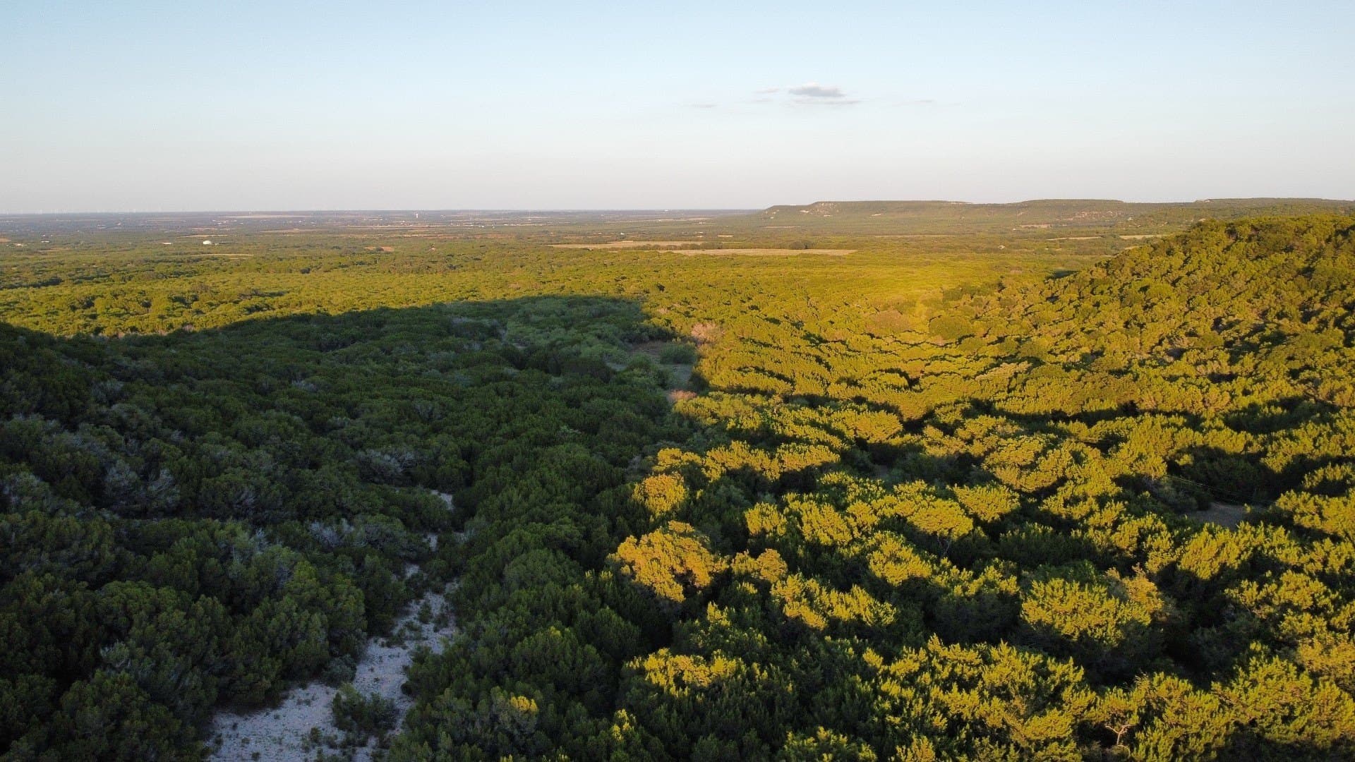 207 acres in Taylor County - photo 21
