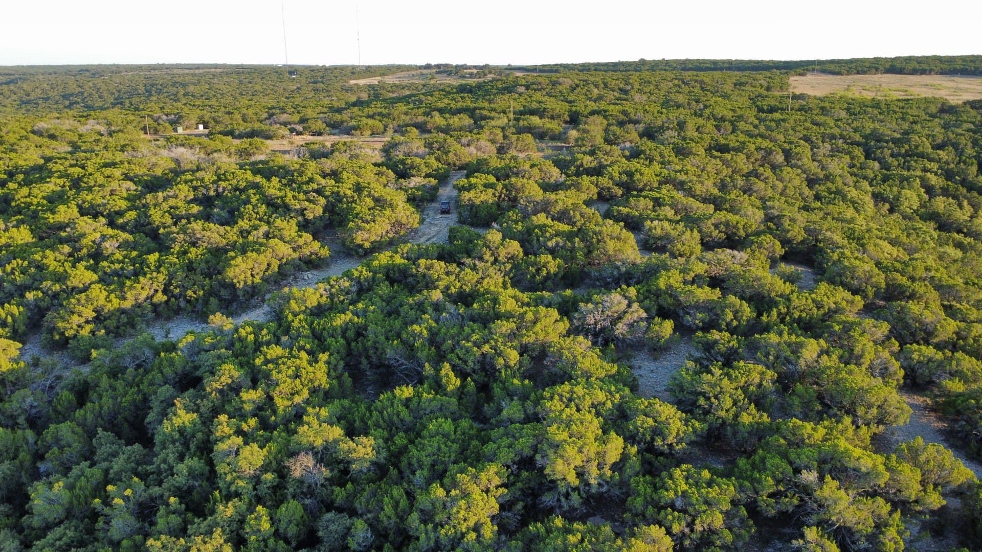 207 acres in Taylor County - photo 29