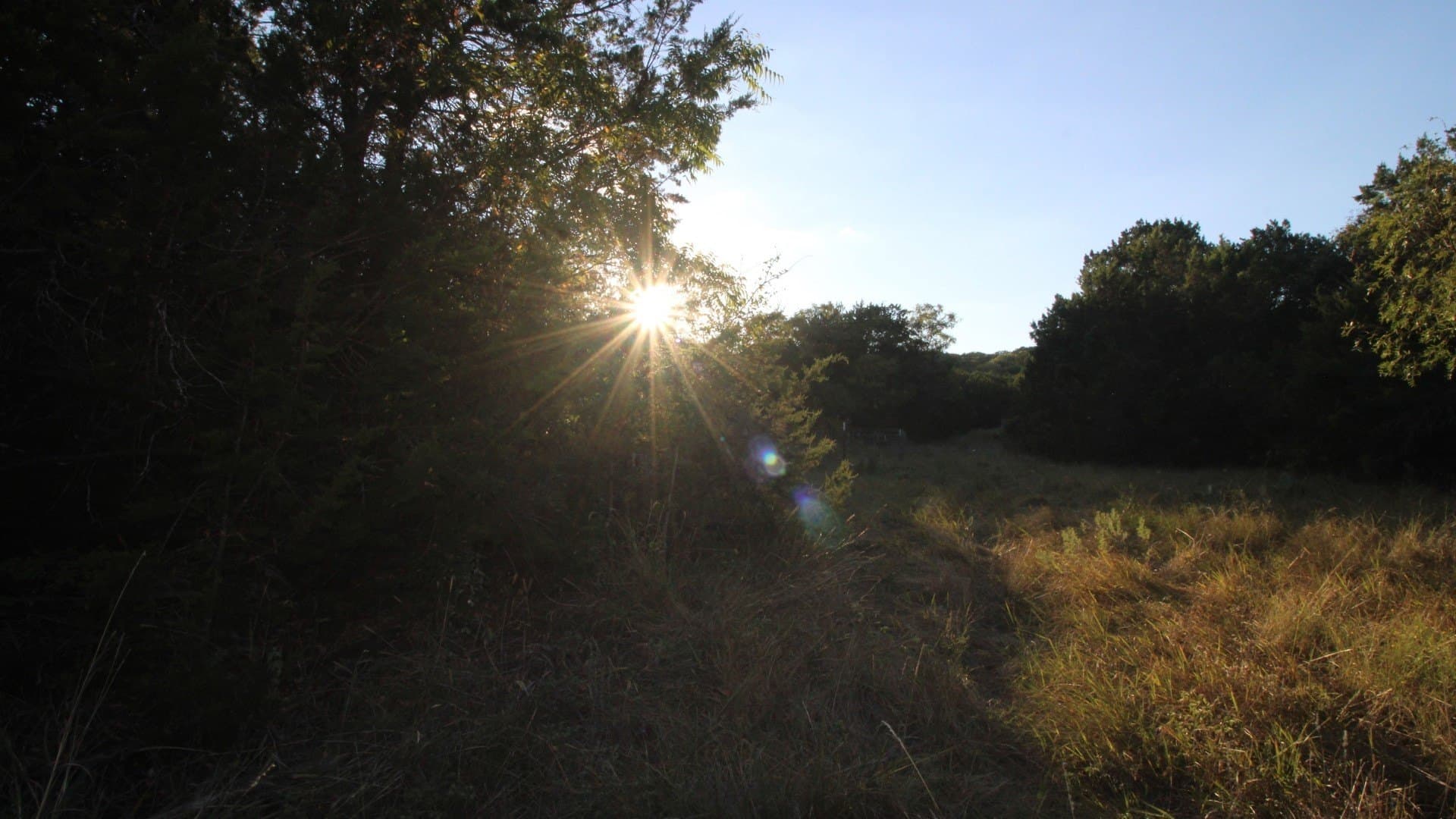 207 acres in Taylor County - photo 40