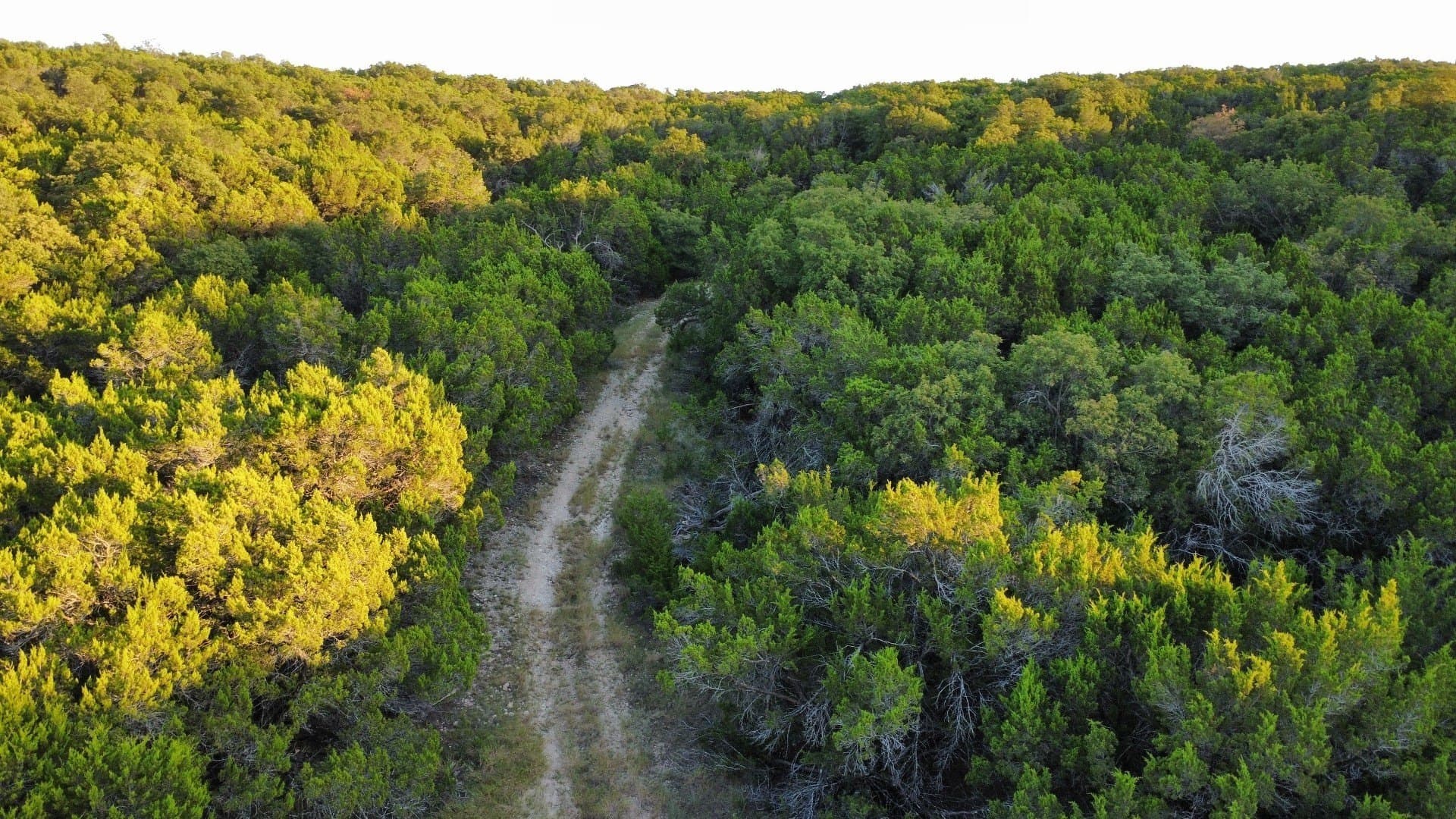 207 acres in Taylor County - photo 11