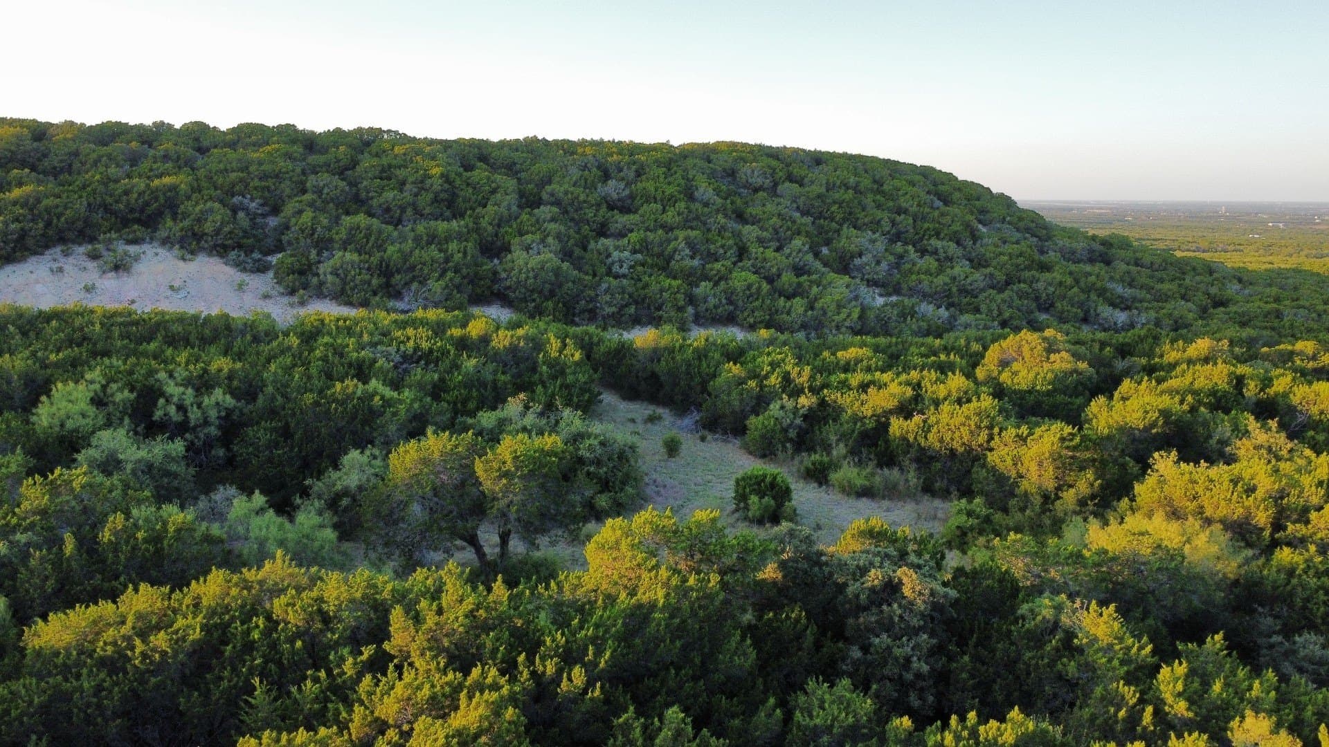 207 acres in Taylor County - photo 20