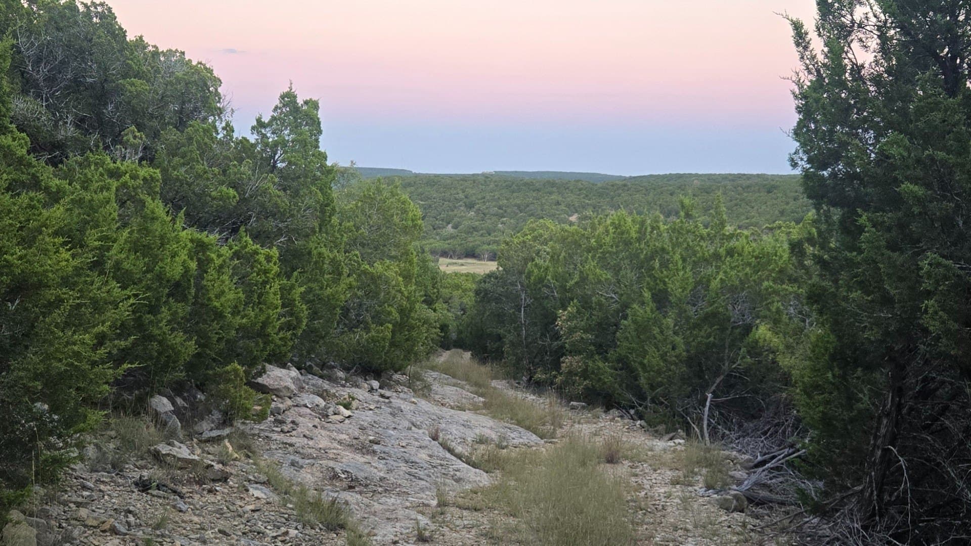207 acres in Taylor County - photo 32