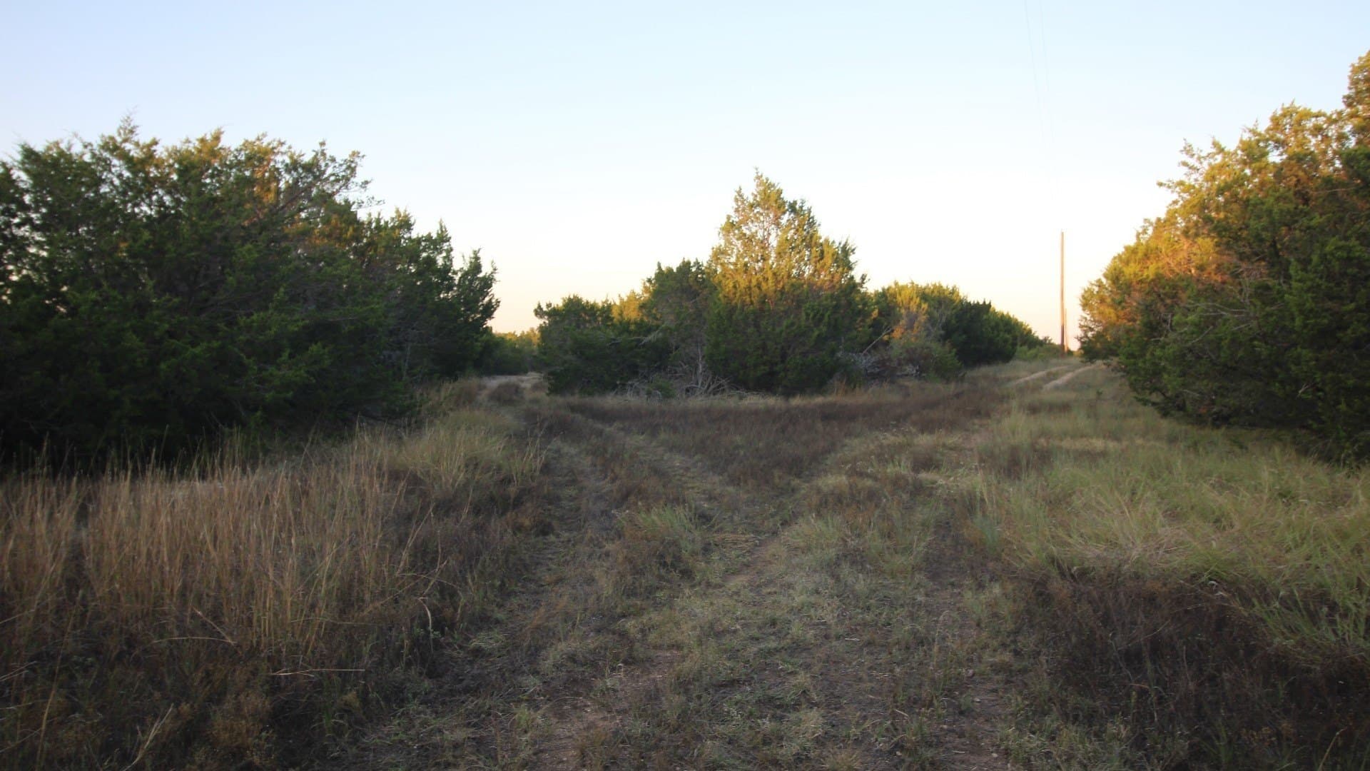 207 acres in Taylor County - photo 14