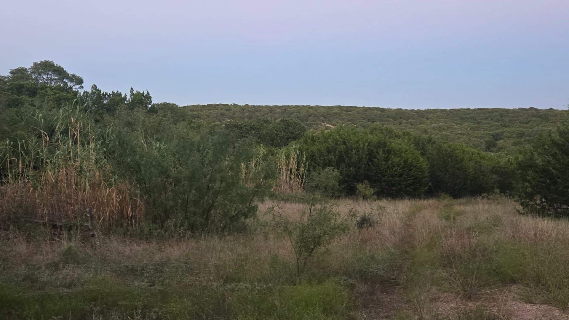 207 acres in Taylor County - photo 12