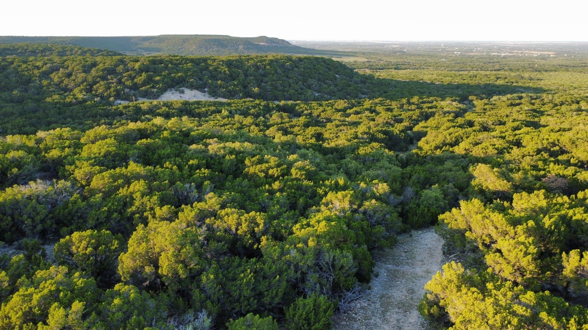 207 acres in Taylor County gallery image 3