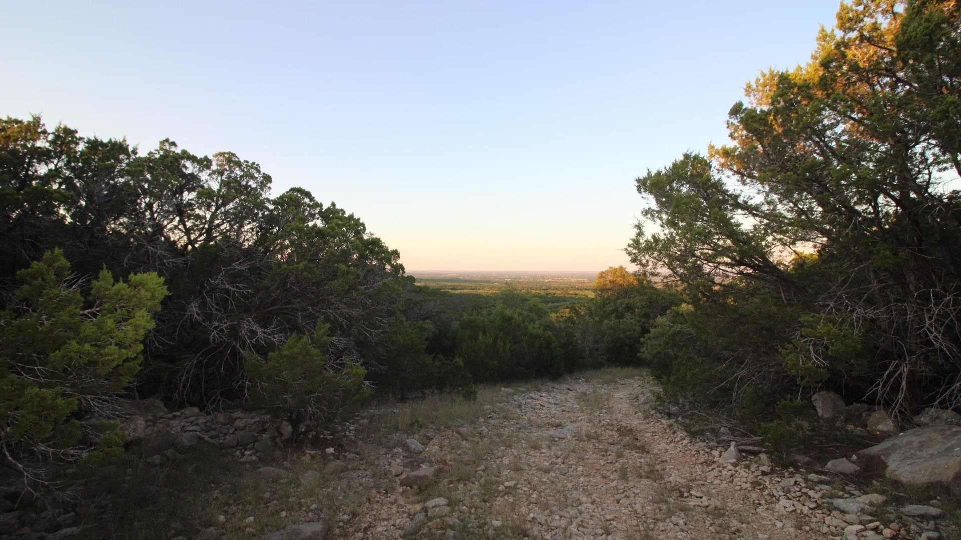 207 acres in Taylor County - photo 33