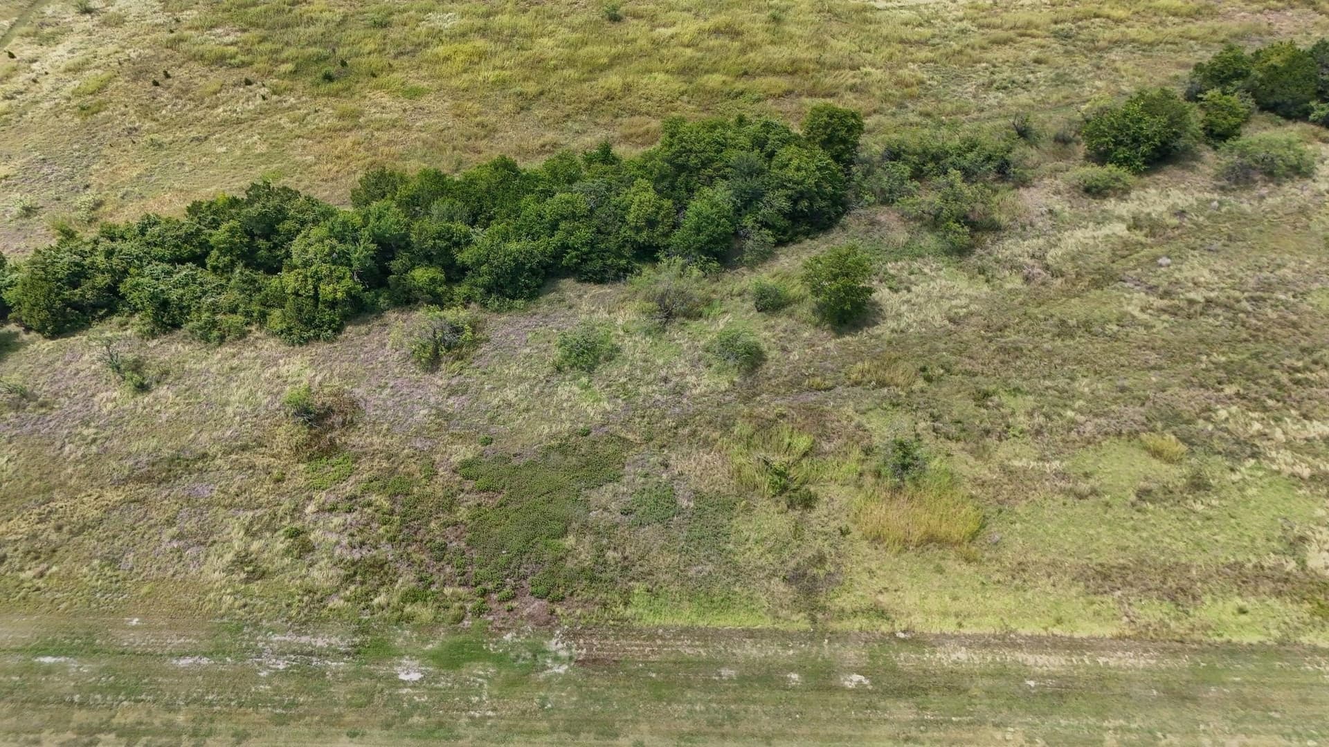 2.93 acres in Hill County featured view