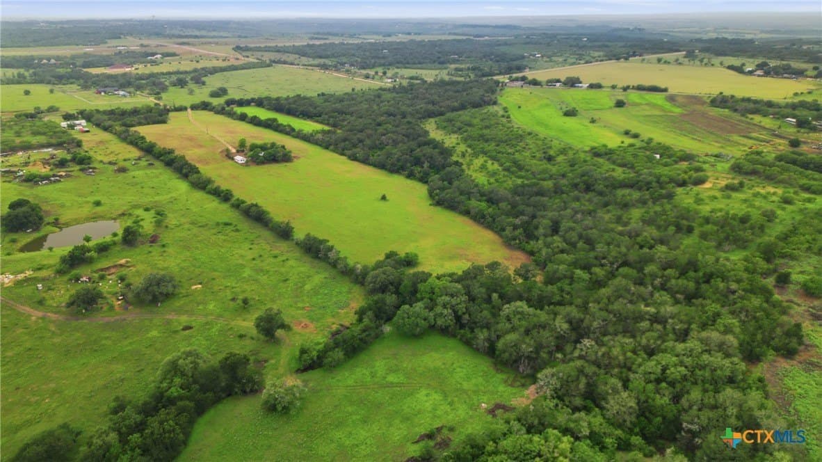 19.72 acres in Guadalupe County gallery image 4