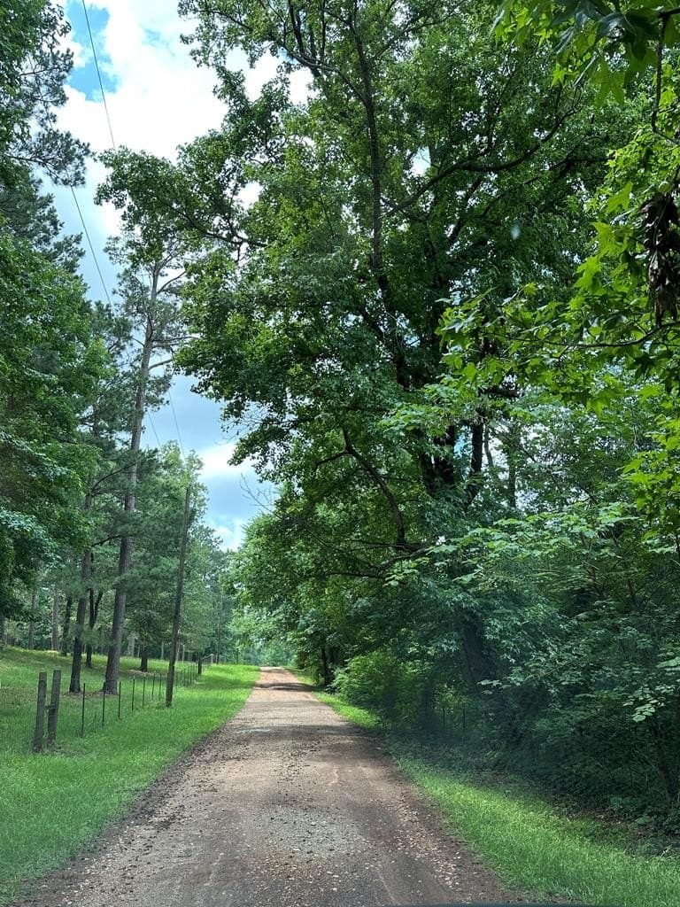 11.73 acres in Texas County gallery image 3